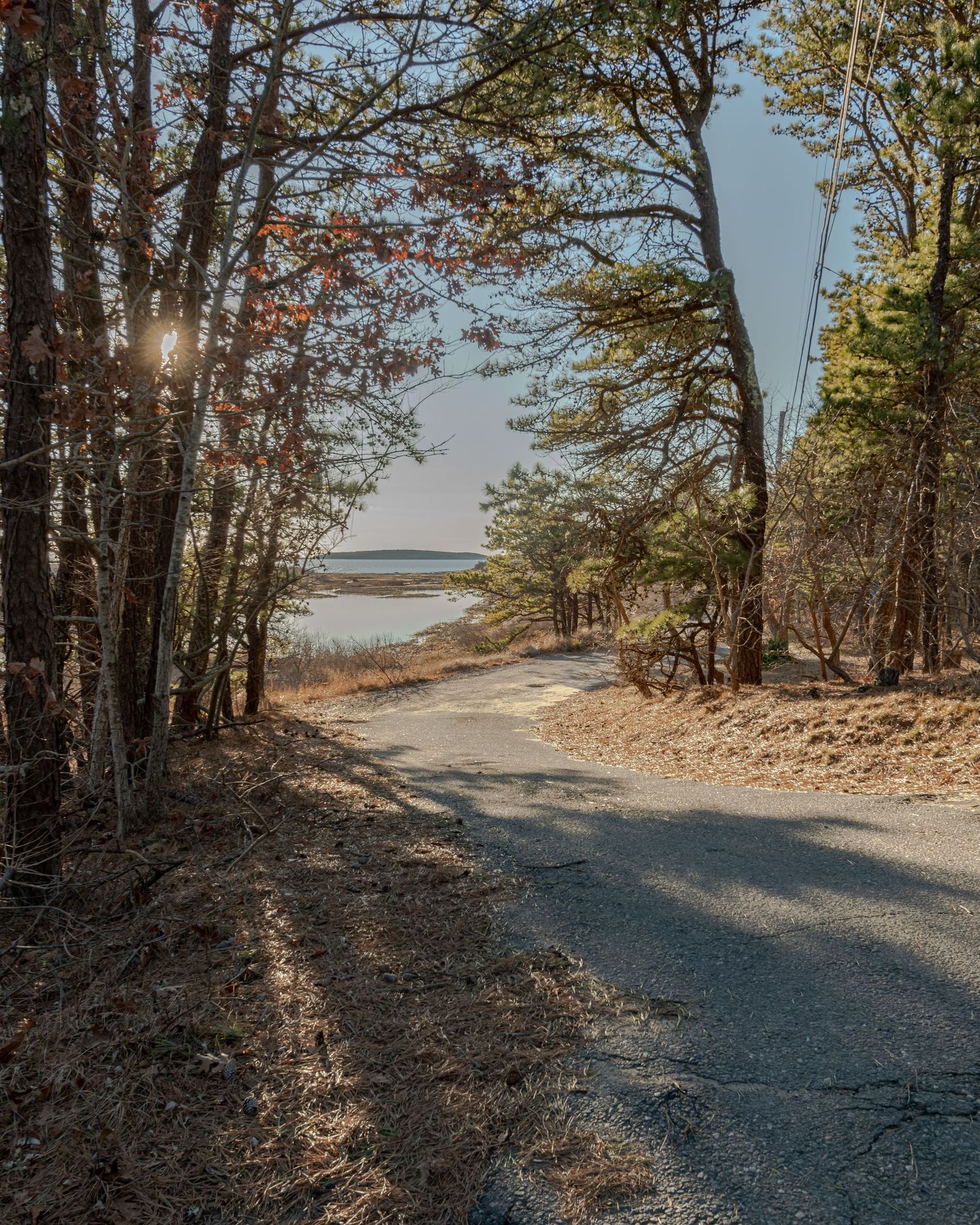 Discover the art of real estate photography by Ryan Maheu Photographic Services.
