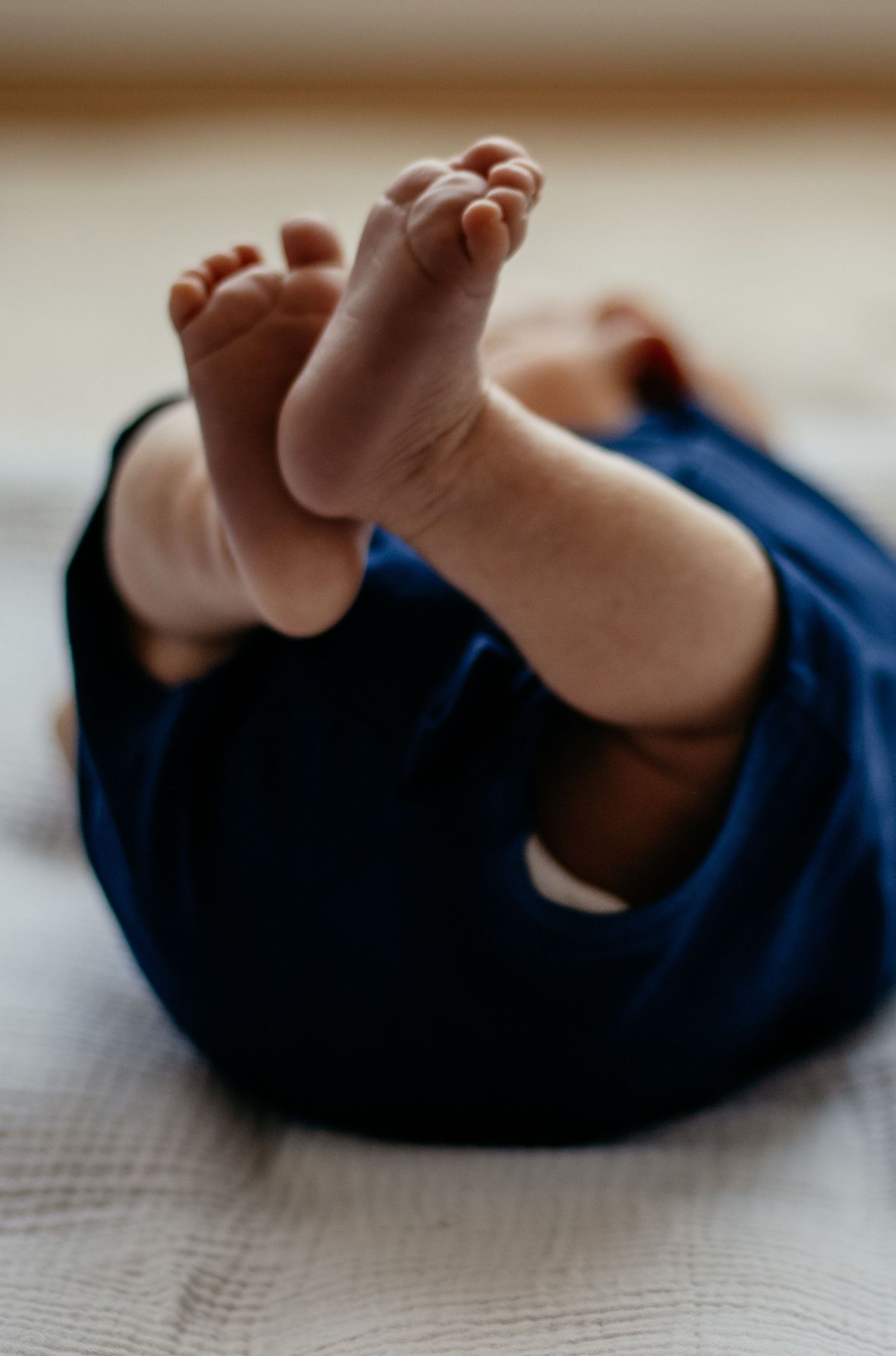 Newborn