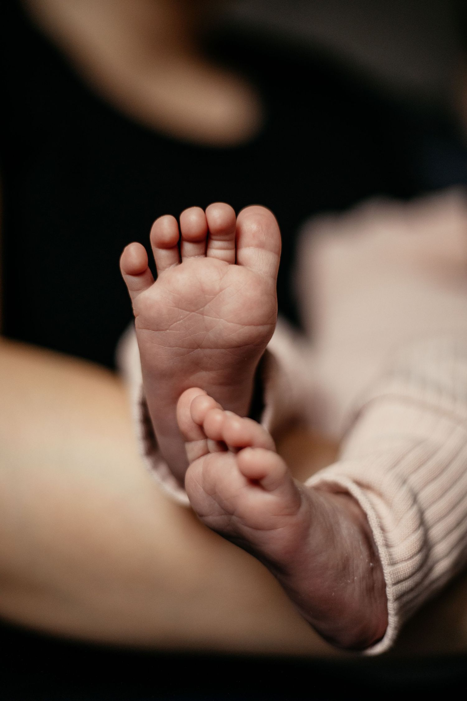 Newborn