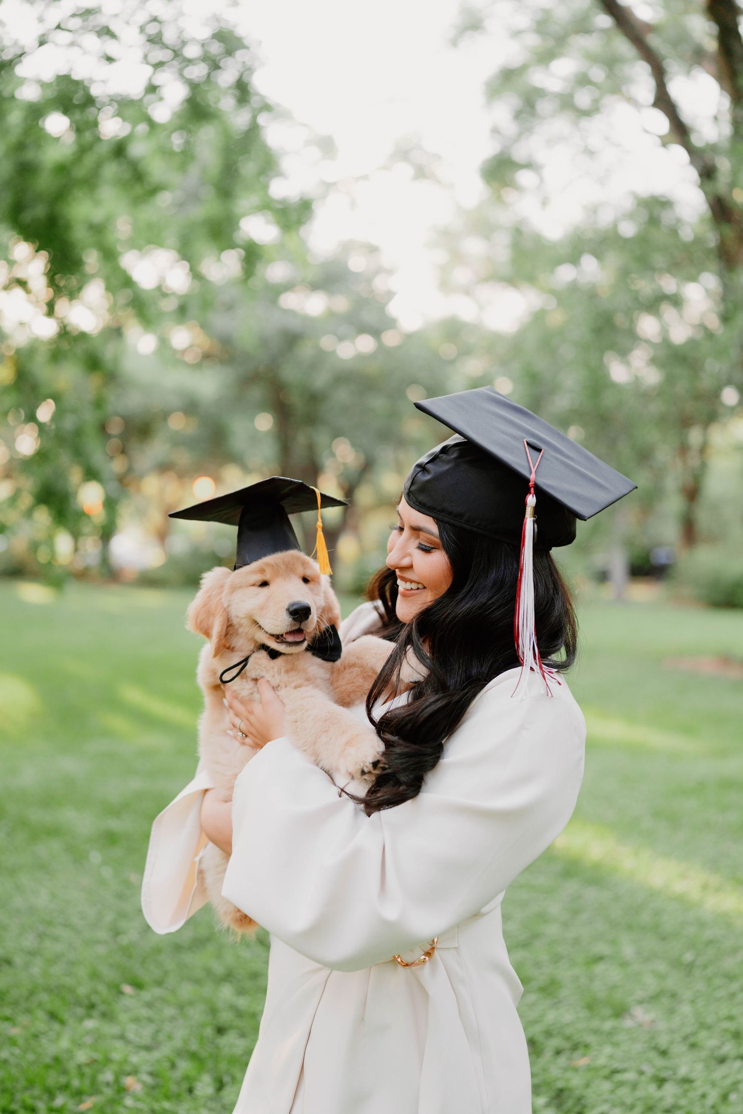 Graduate in white gown and cap shares joyful moments with golden retriever dog on grassy lawn.