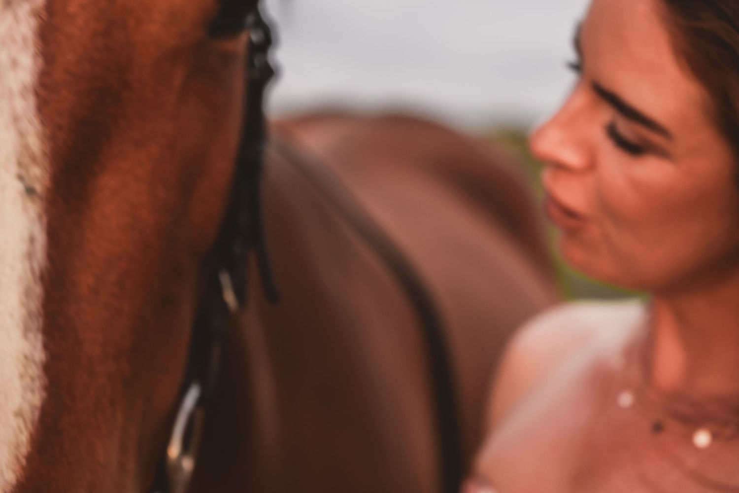 Close-up intimate moment with a brown horse during sunset.