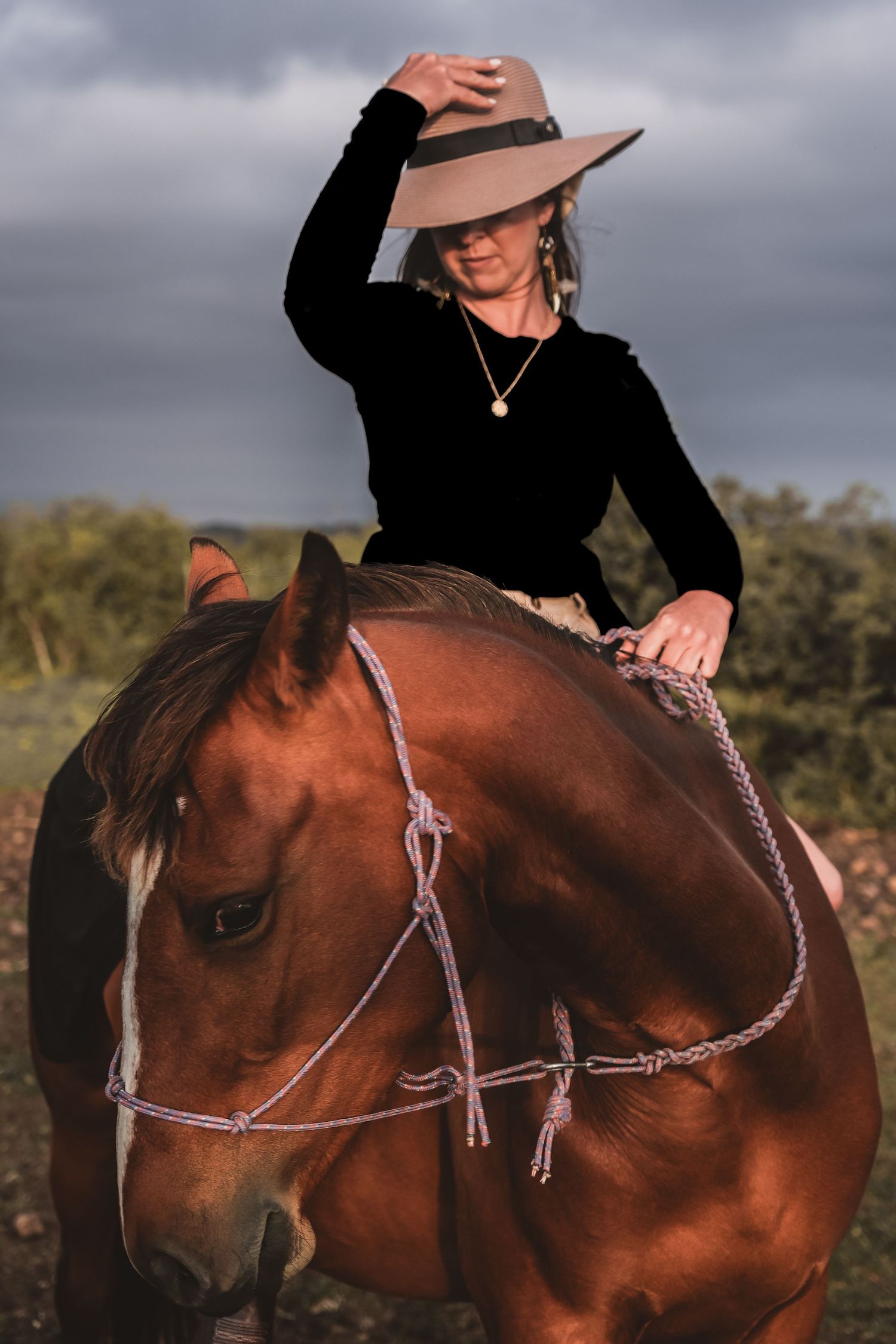 Someone in black wearing a tan hat sits atop a chestnut horse against stormy skies.
