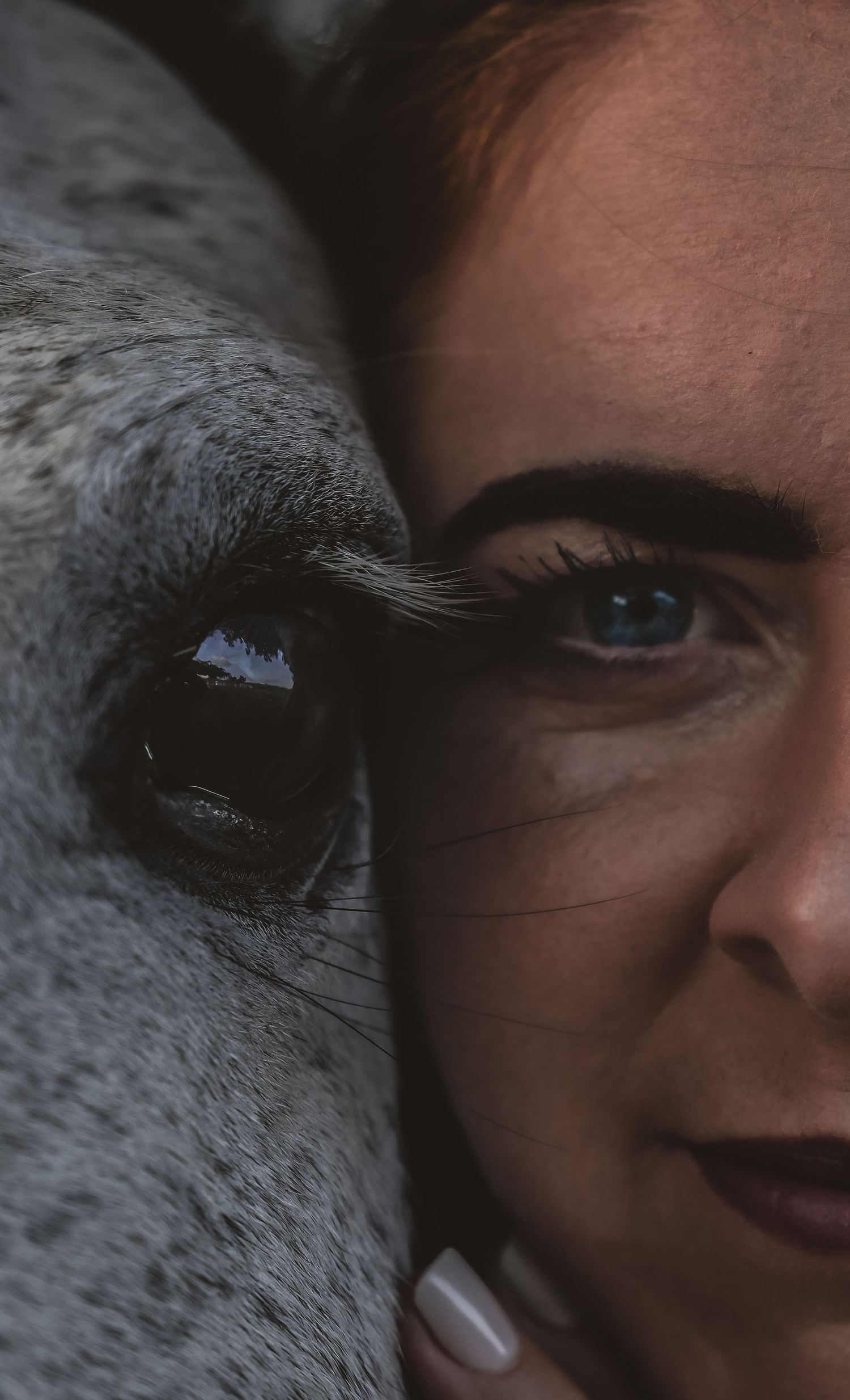 Close-up shot showing a horse's eye next to someone's eye in intimate detail.