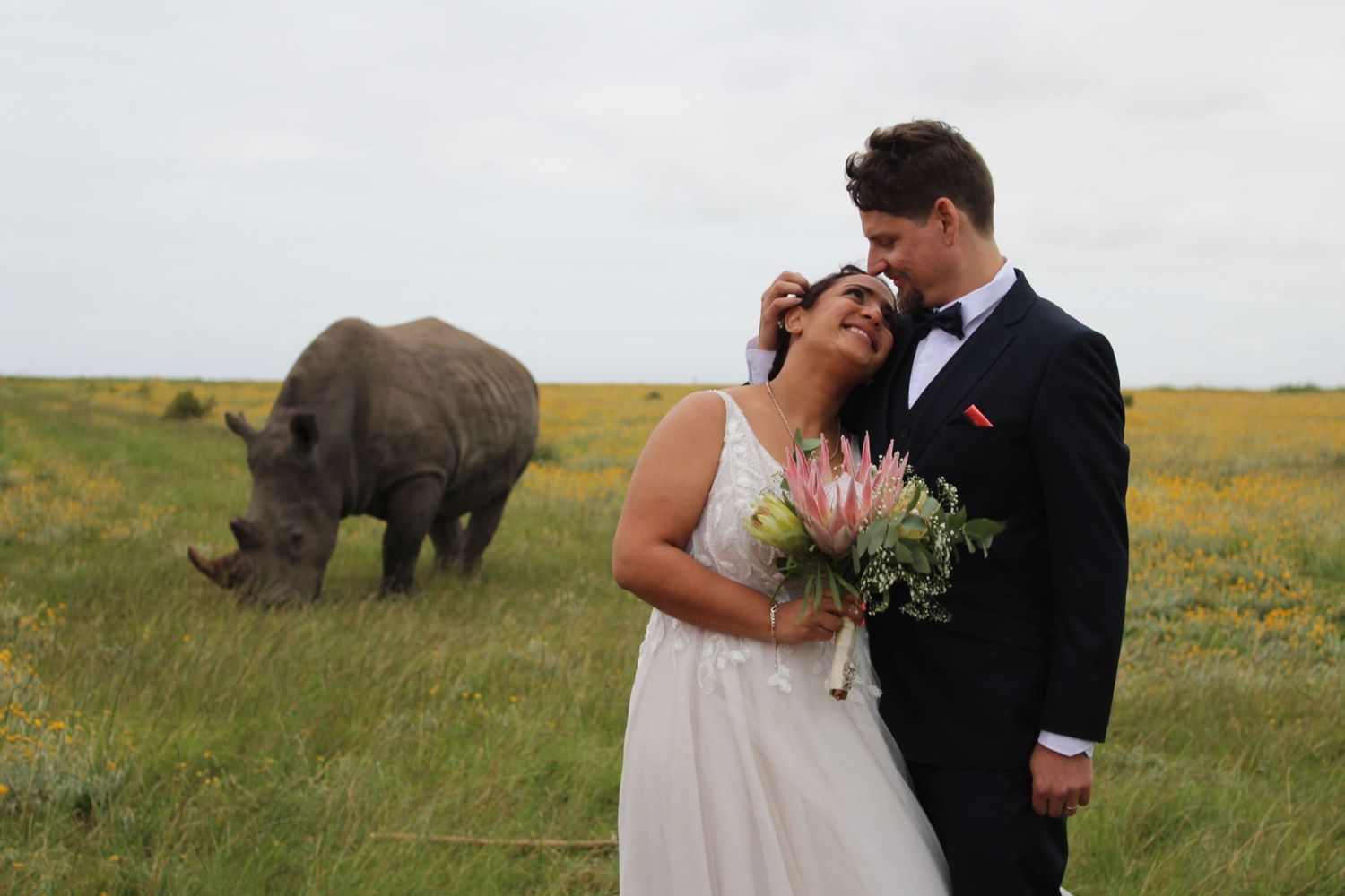 Wedding couple shares a tender moment with a wild rhinoceros grazing in the background.