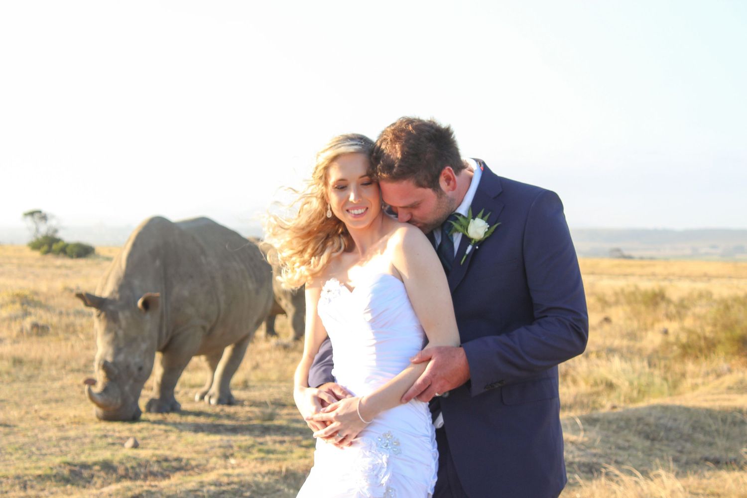 Newlyweds share an intimate moment as a rhinoceros grazes in the African savanna behind them.