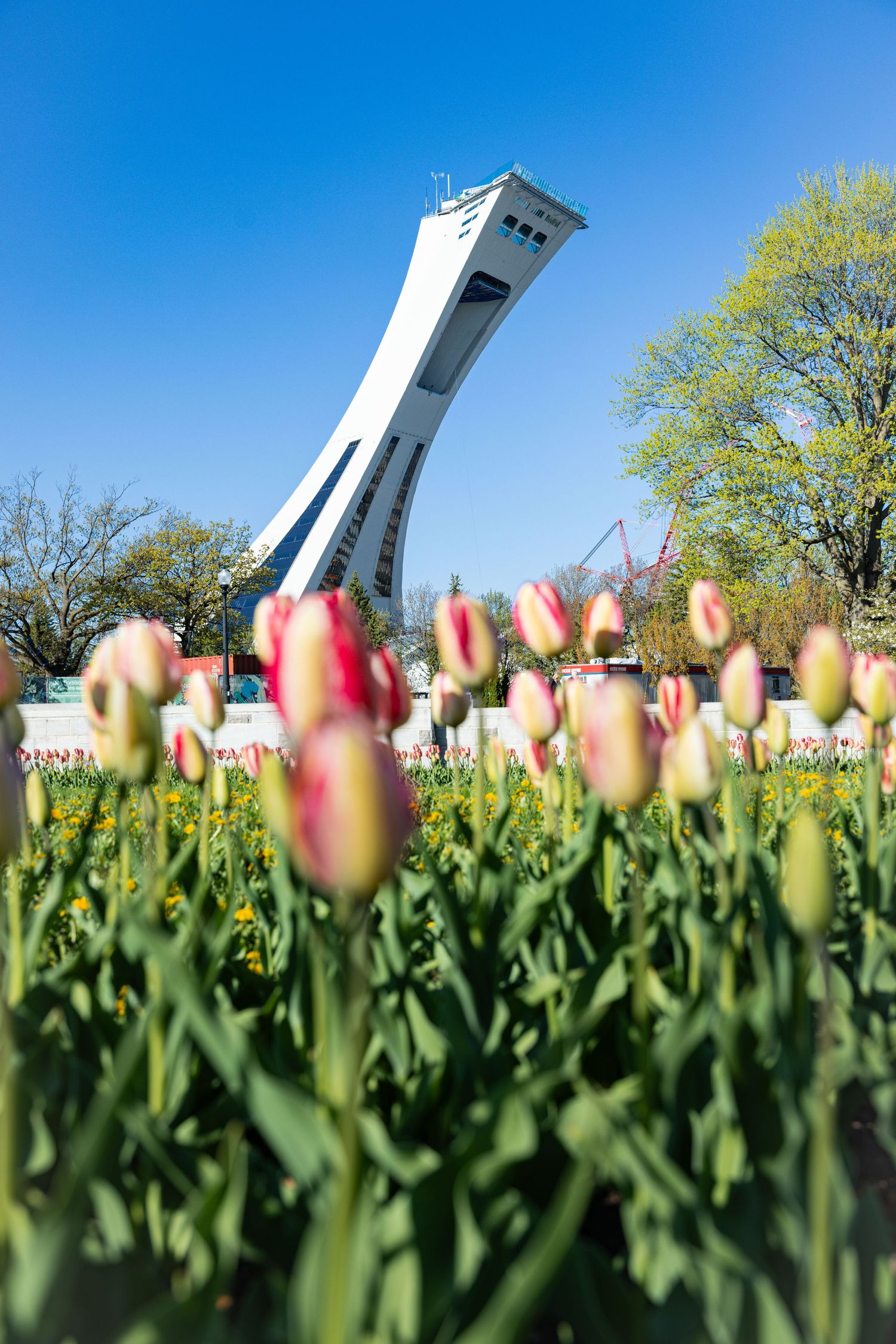 Jardin Botanique de Montreal