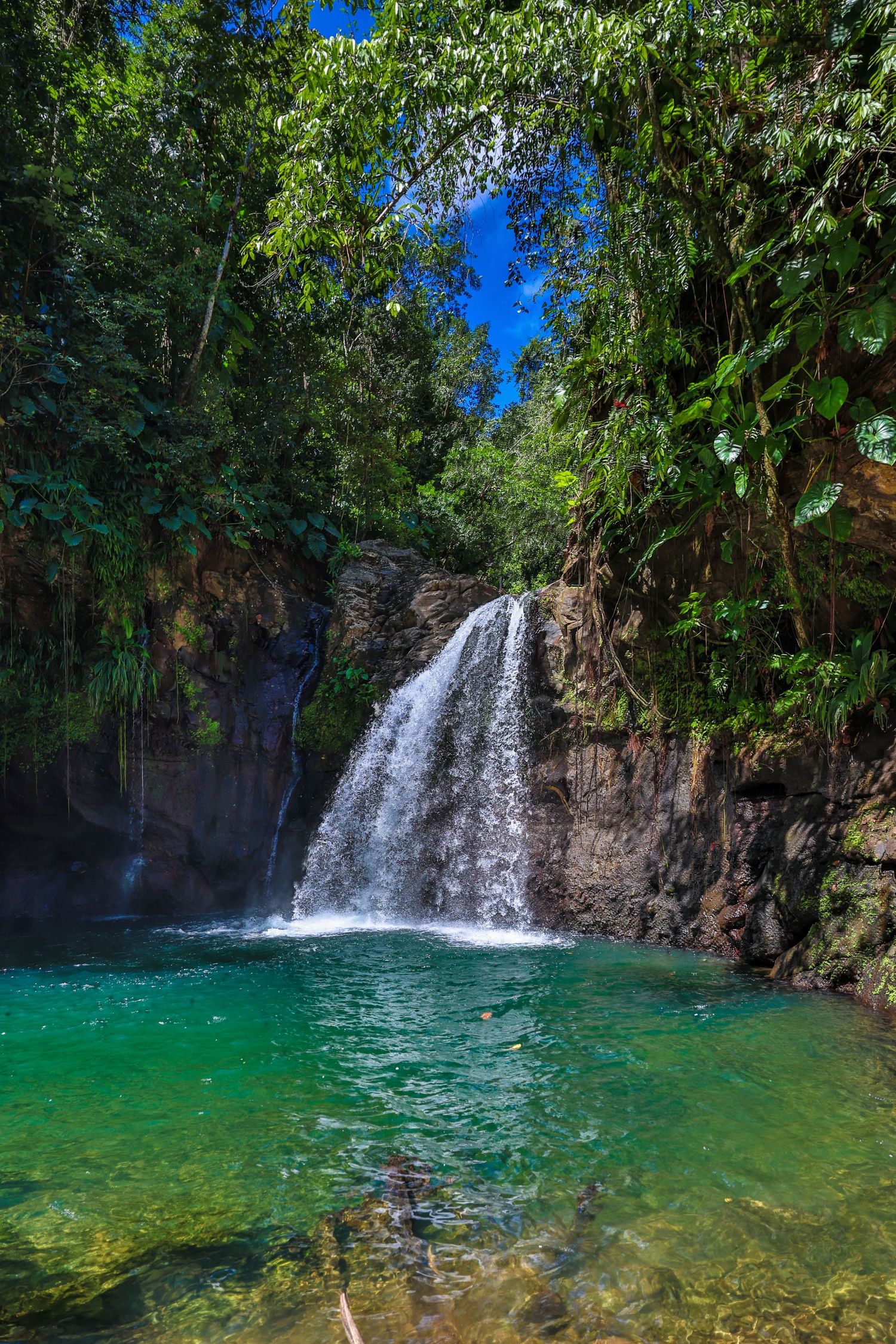 Guadeloupe