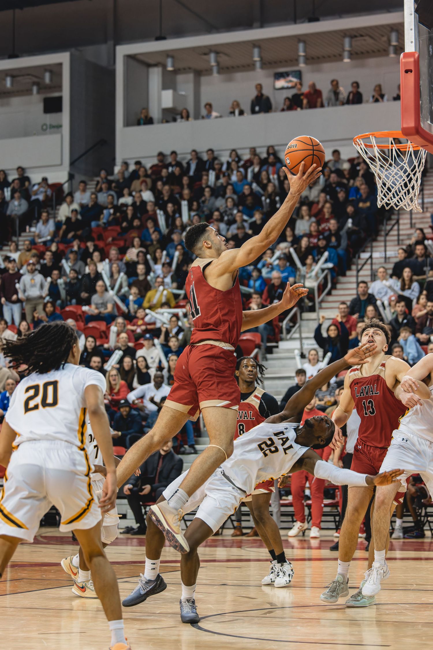 Rouge & Or - Basketball