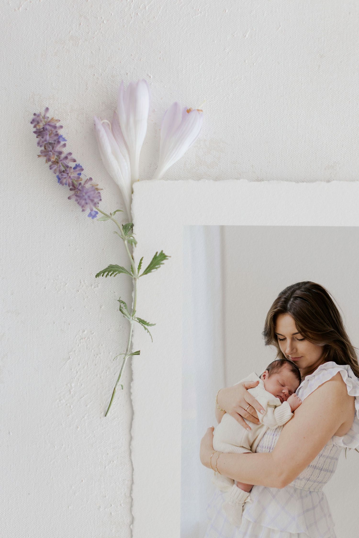 Mother tenderly holds sleeping newborn baby, soft white background with delicate purple and white flowers.