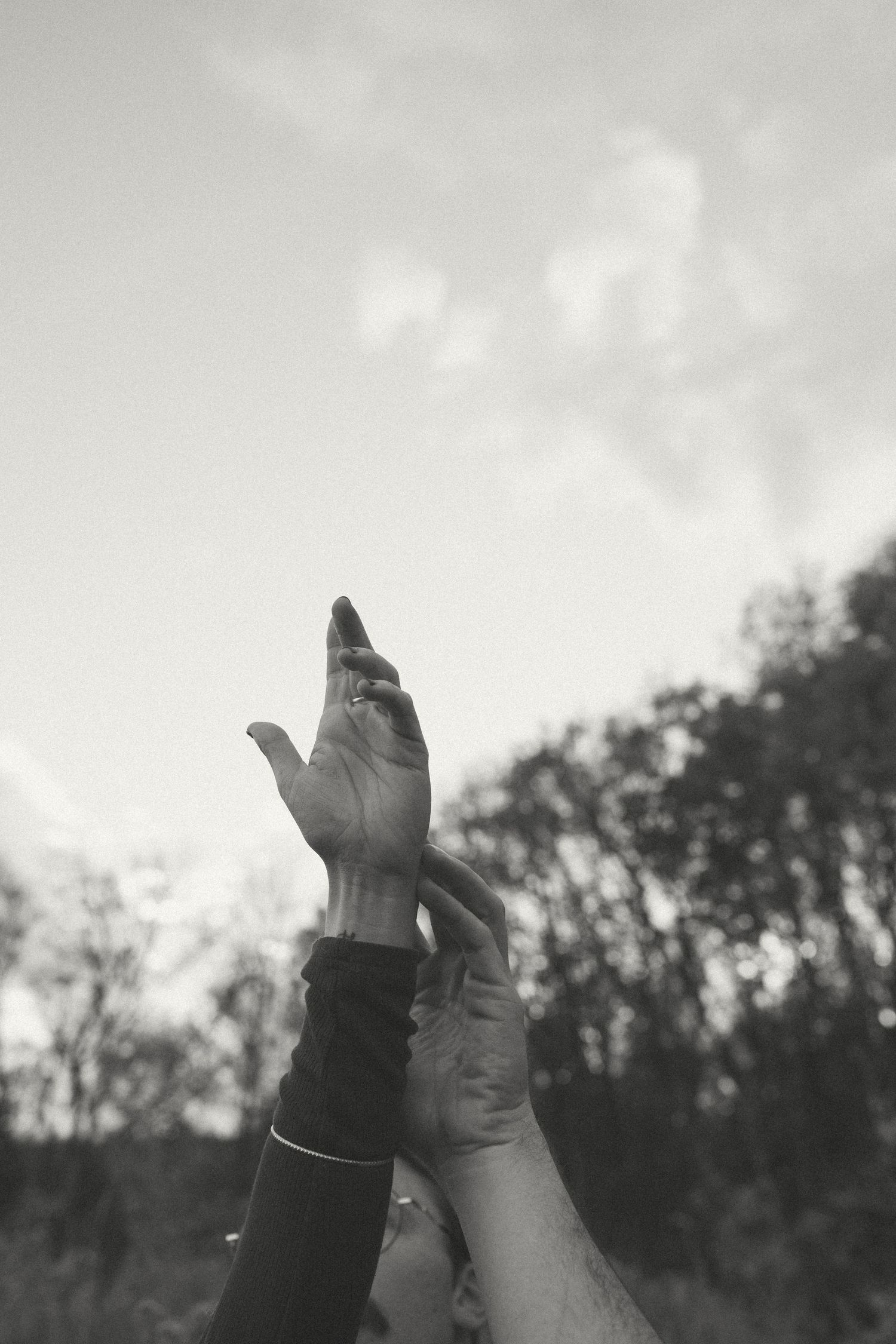 Black and white photo of two hands reaching up toward a cloudy sky, with silhouetted trees in the background.