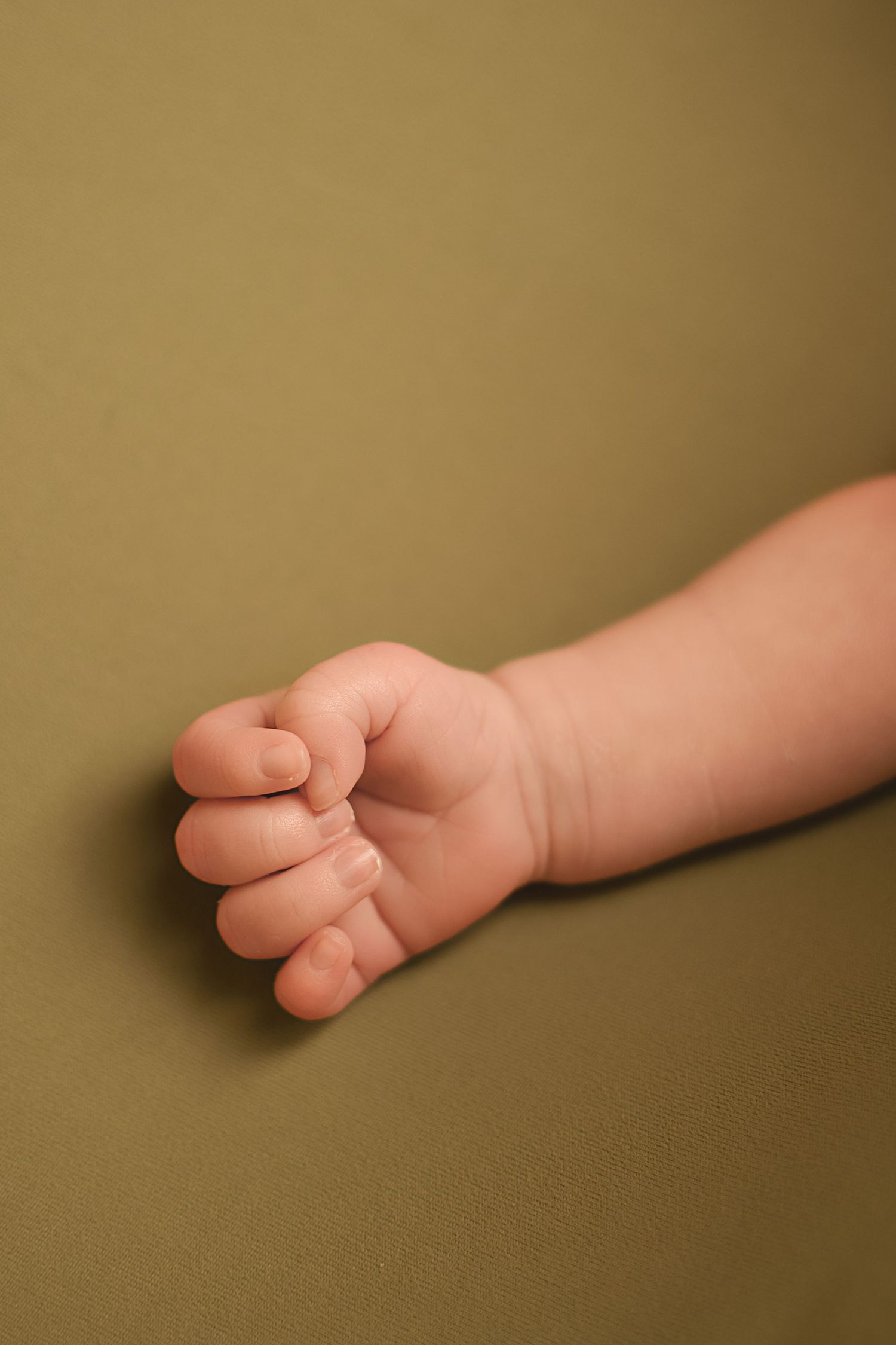 Biloxi Newborn Photographer, Ocean Springs newborn photographer, Biloxi family photographer