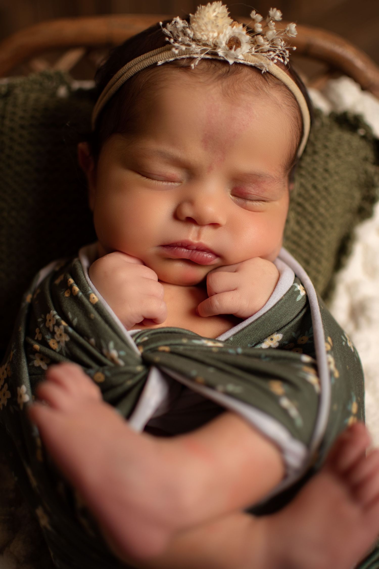 Biloxi Newborn Photographer, Ocean Springs newborn photographer, Biloxi family photographer