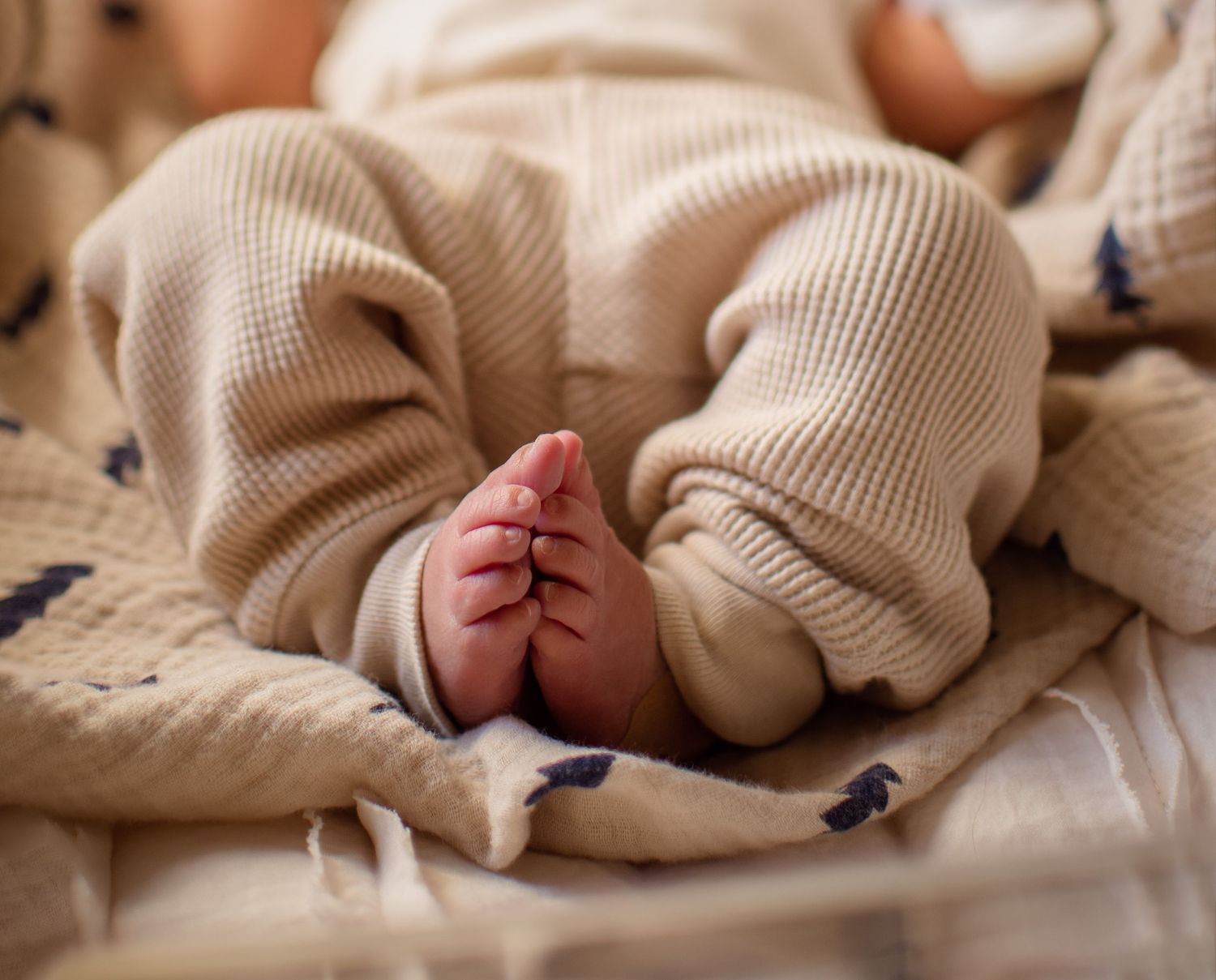 Biloxi Newborn Photographer, Ocean Springs newborn photographer, Biloxi family photographer