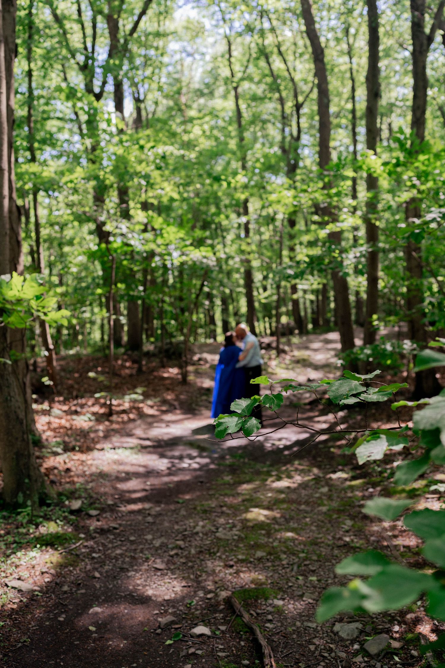 Romantic couple embraces on a sunlit forest path, surrounded by lush greenery, capturing love and nature in a dreamy outdoor setting