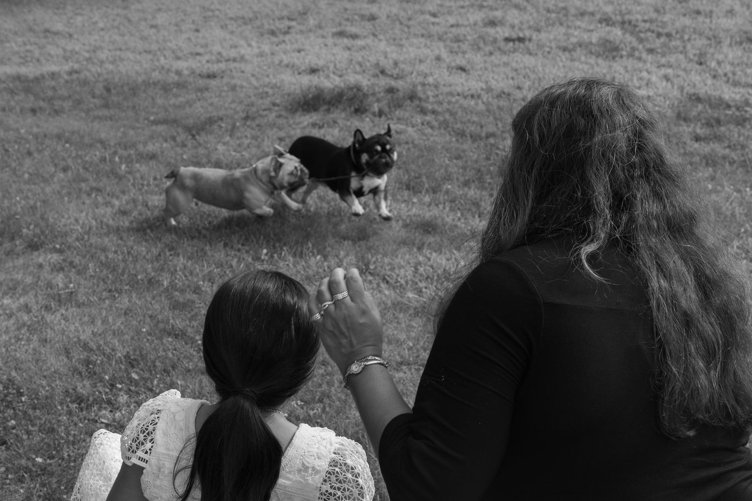 A moody black and white photo of a mother and daughter joyously watching as their two French bulldogs play in the grass