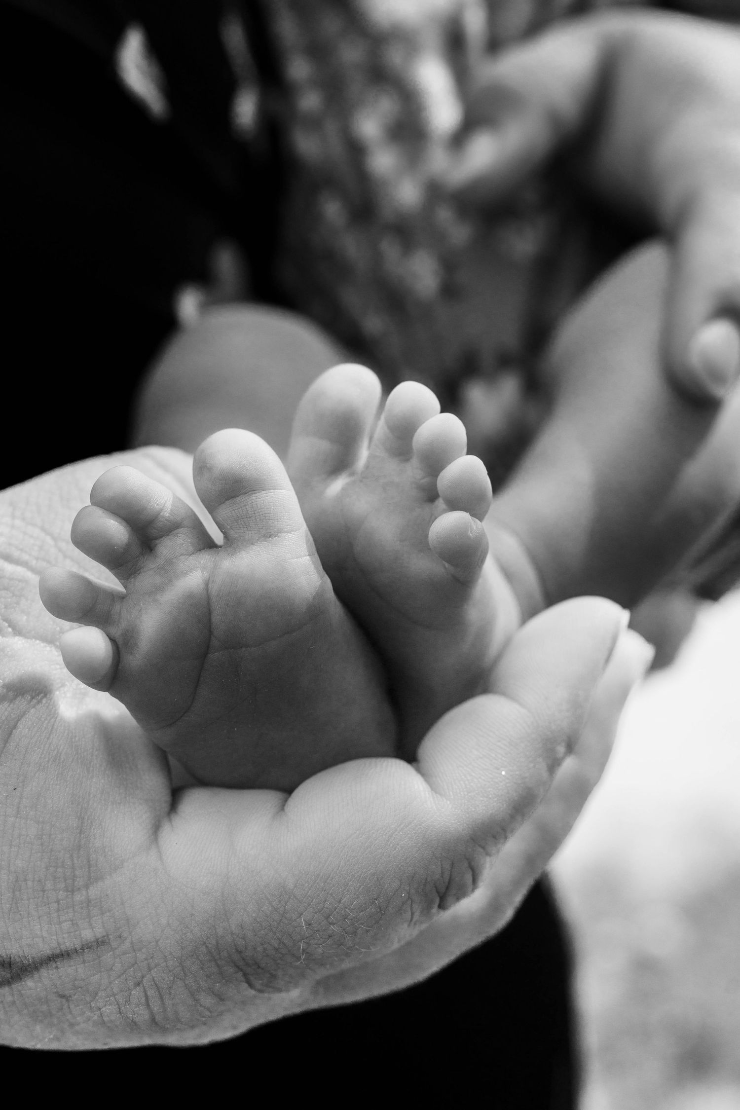 Black and white close-up of newborn baby feet cradled in loving hands. Timeless and emotional newborn photography