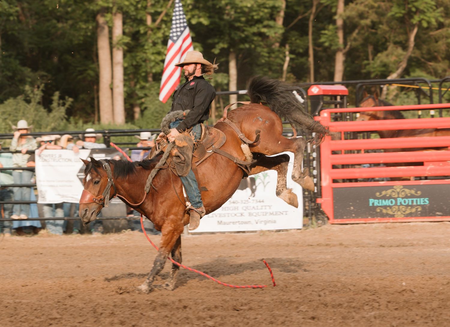 Cowboy riding a bucking bronco horse at a rodeo arena with an American flag waving in the background.