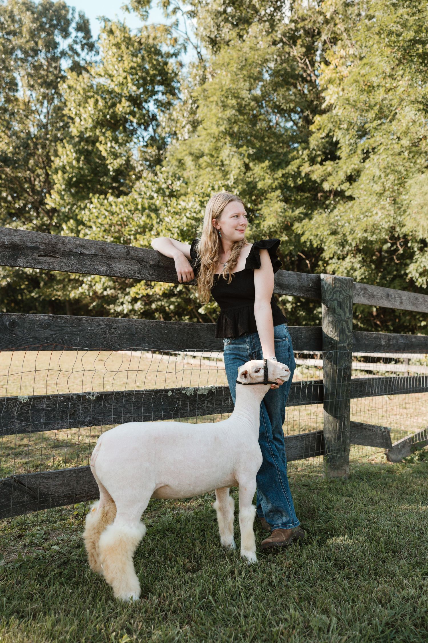 A sequence showing a figure turning and moving around outdoors with a large white dog near a wooden fence in summer.