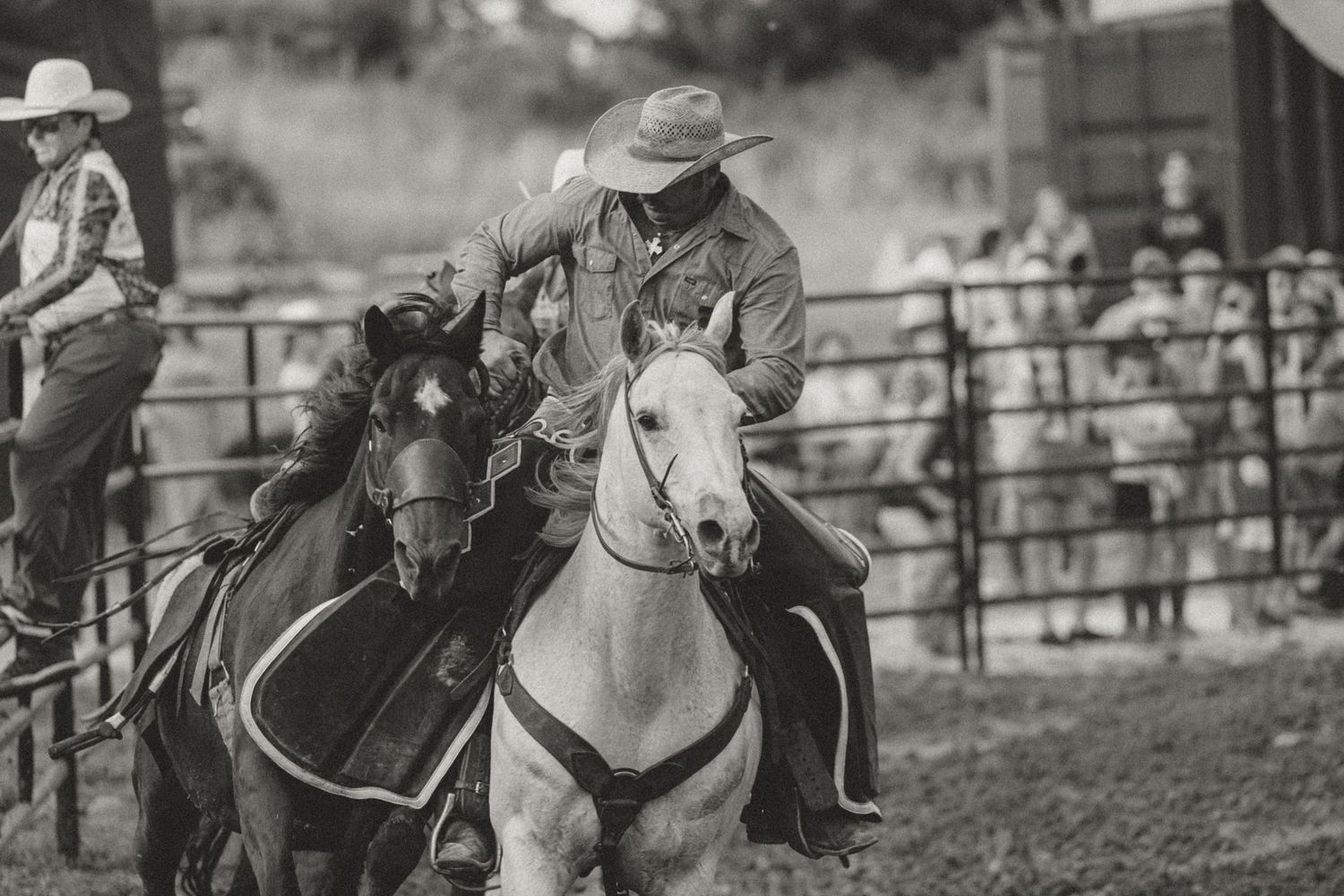 Vintage rodeo photography sequence showing a rider being thrown from a bucking bronco in black and white.