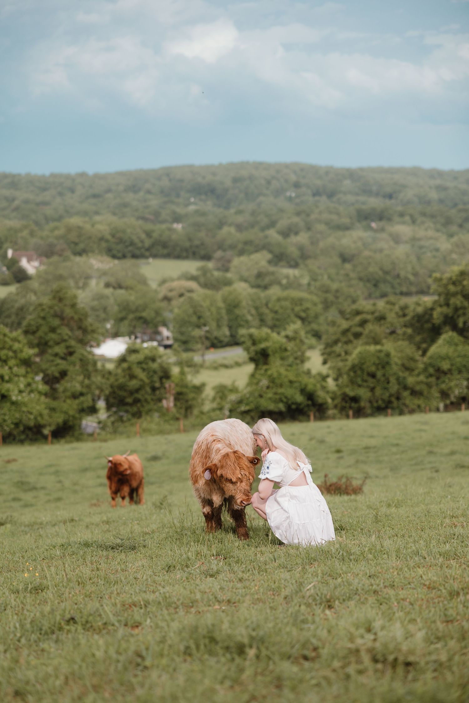 Two Highland cattle graze in a rolling green hillside pasture under cloudy skies.