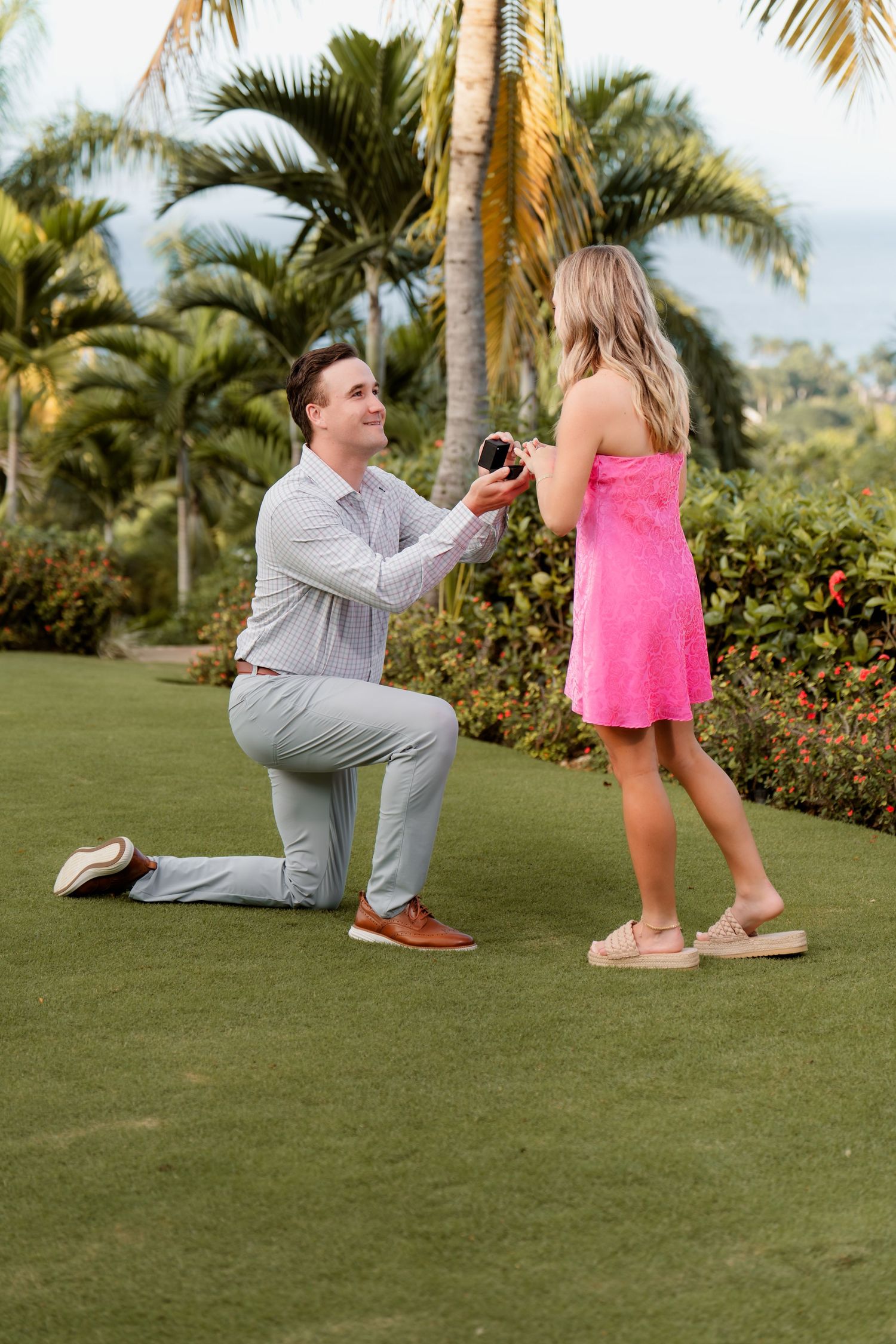 A marriage proposal scene on a lush green lawn surrounded by tropical palm trees and flowering plants in Hawaii.