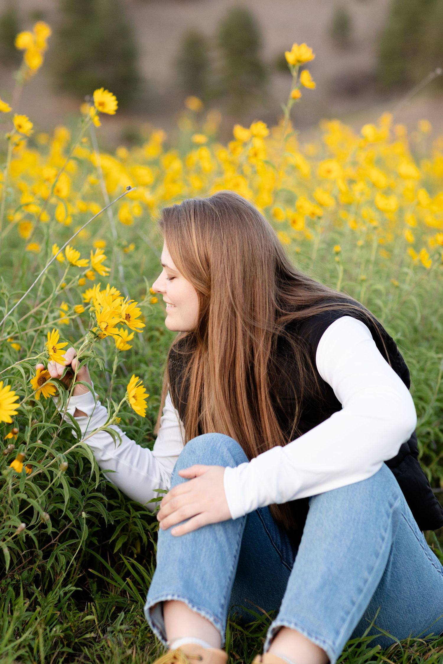 A person in jeans and a white sweater sits among bright yellow wildflowers in a meadow on a sunny day.