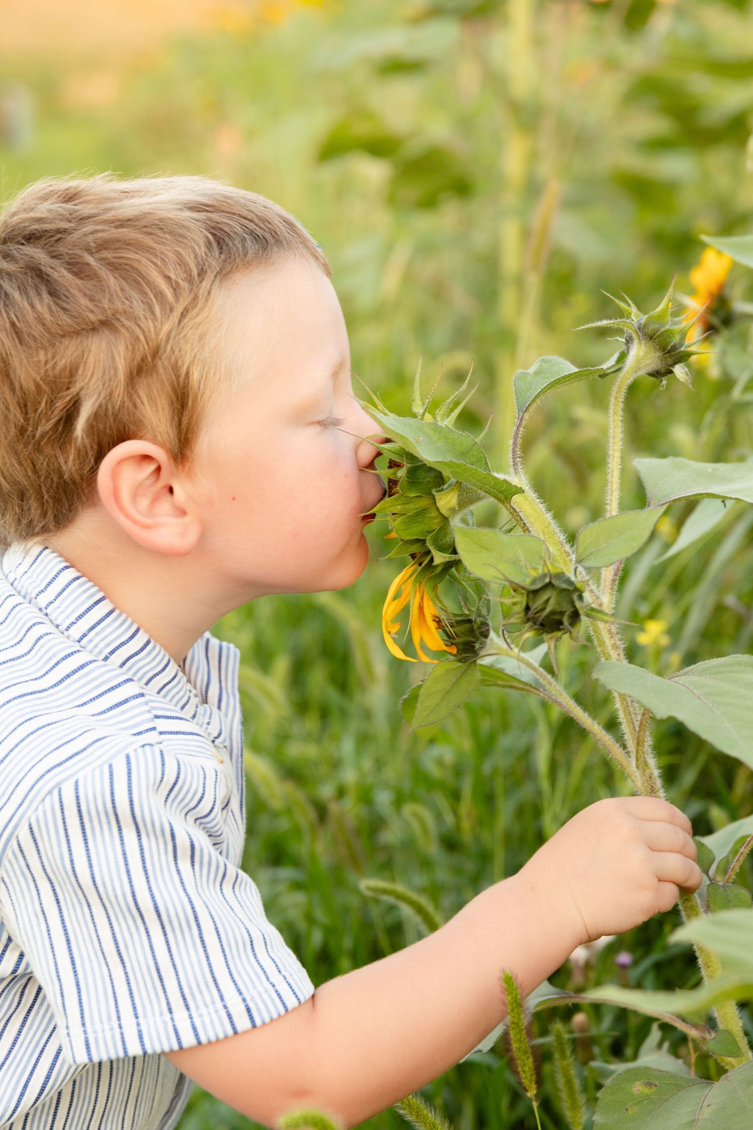 A young child in a striped shirt smells a yellow sunflower in a garden during a summer day.