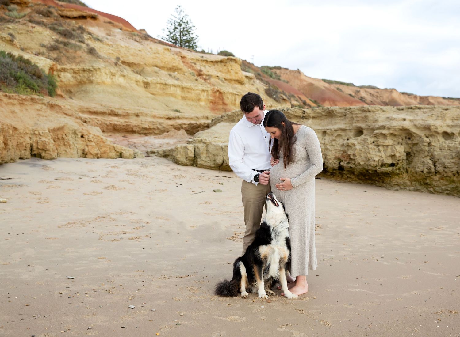 Maternity session, expectant parents and their border collie dog in Port Noarlunga SA