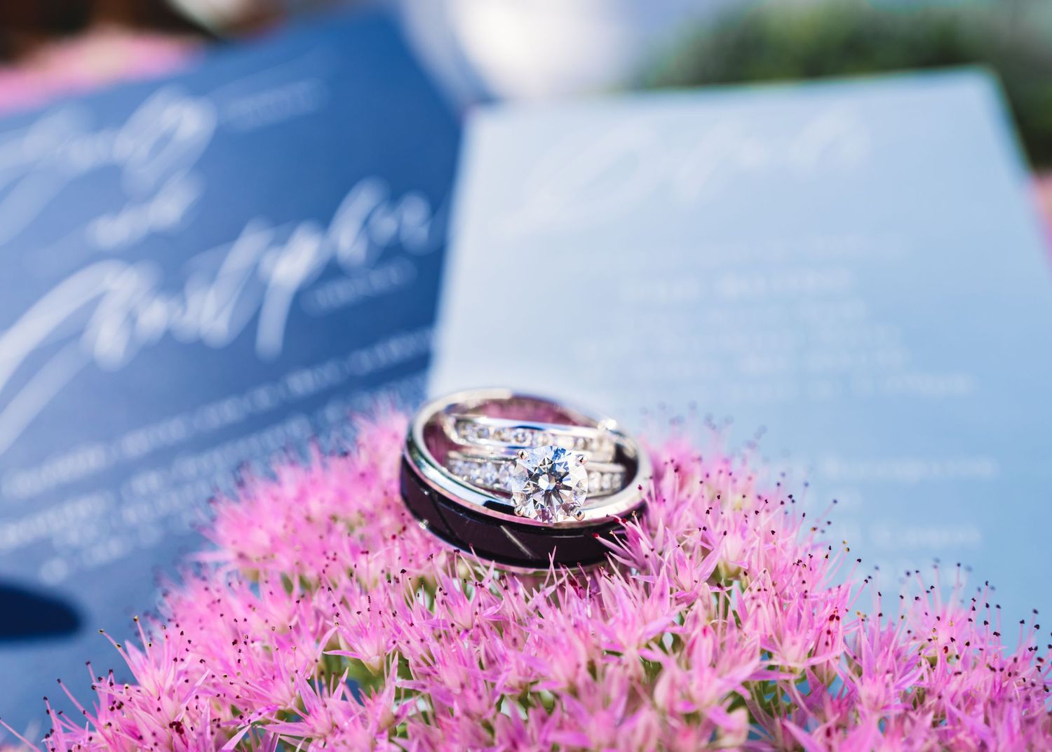 Wedding rings sitting on vibrant pink flowers against a soft blue background.