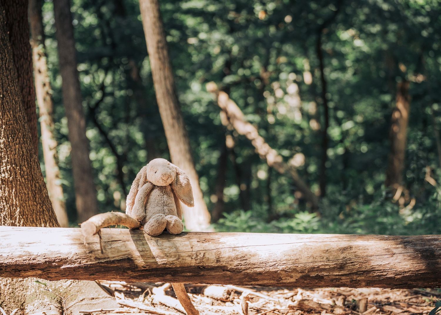 A plush bunny toy sits alone on a fallen tree trunk in a sunlit forest.