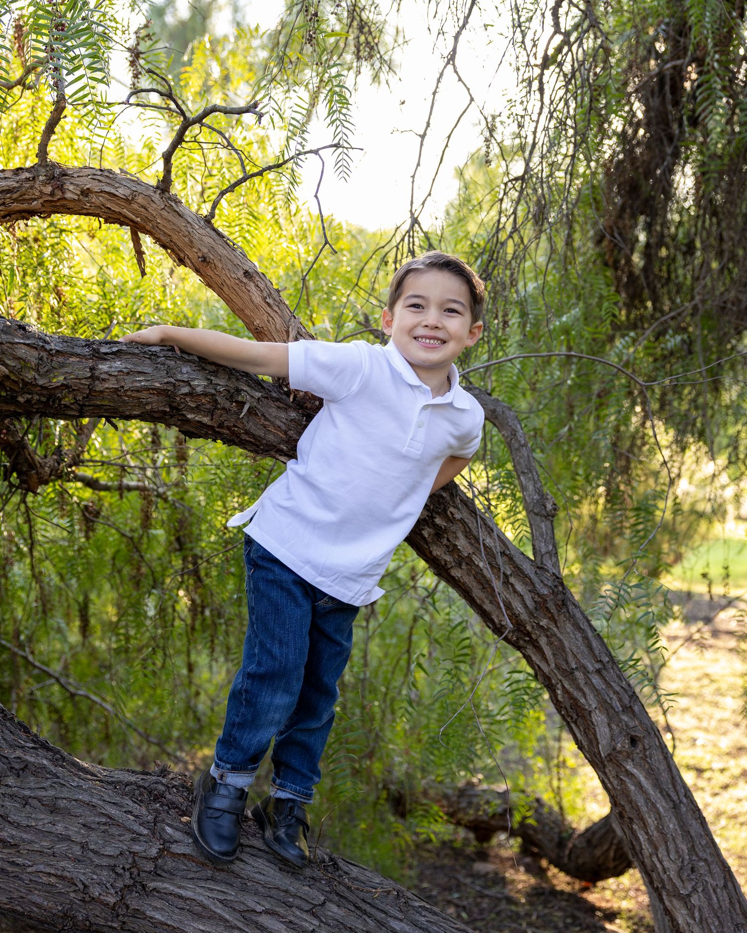 A smiling boy in a white polo and jeans climbs a curved tree trunk surrounded by lush green foliage outdoors.