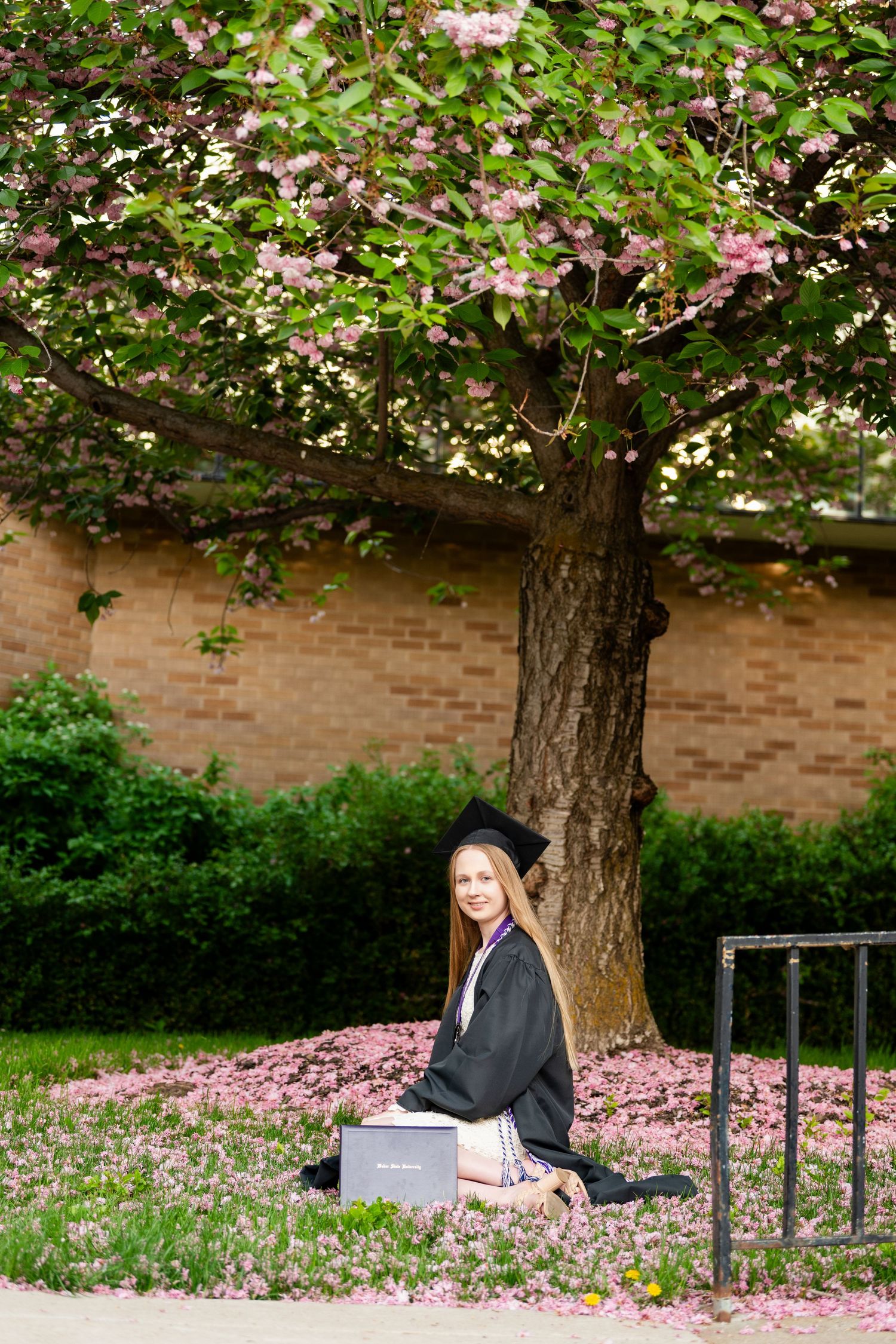 Outdoor graduation photos of female college graduate sitting beneath blooming spring tree on campus at Weber State University
