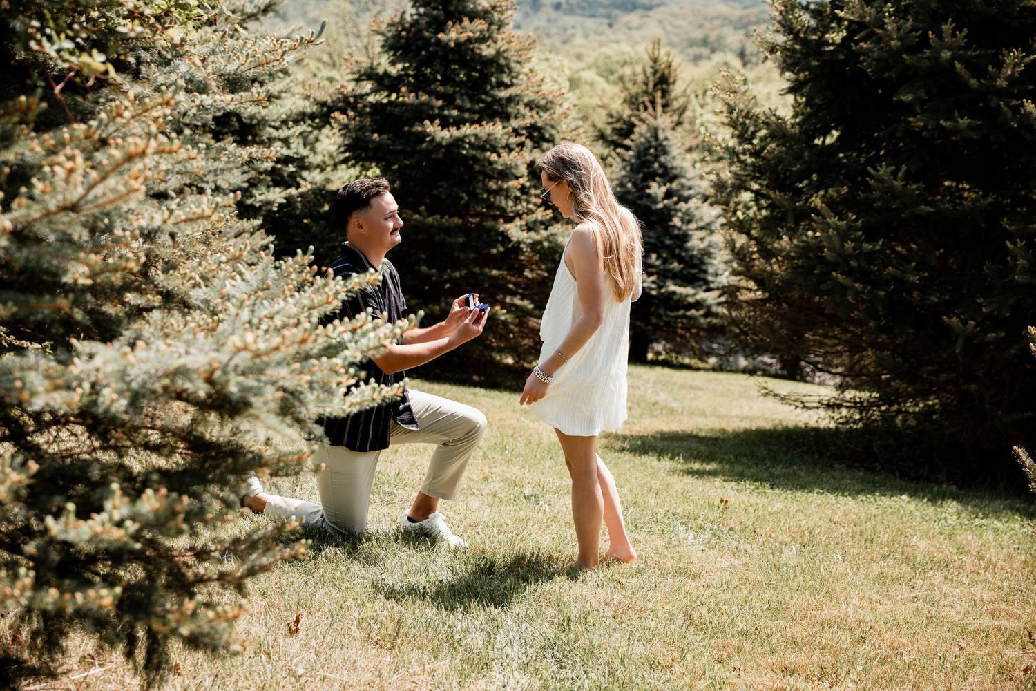 Man proposing on one knee to woman in white dress among evergreen trees on sunny day.