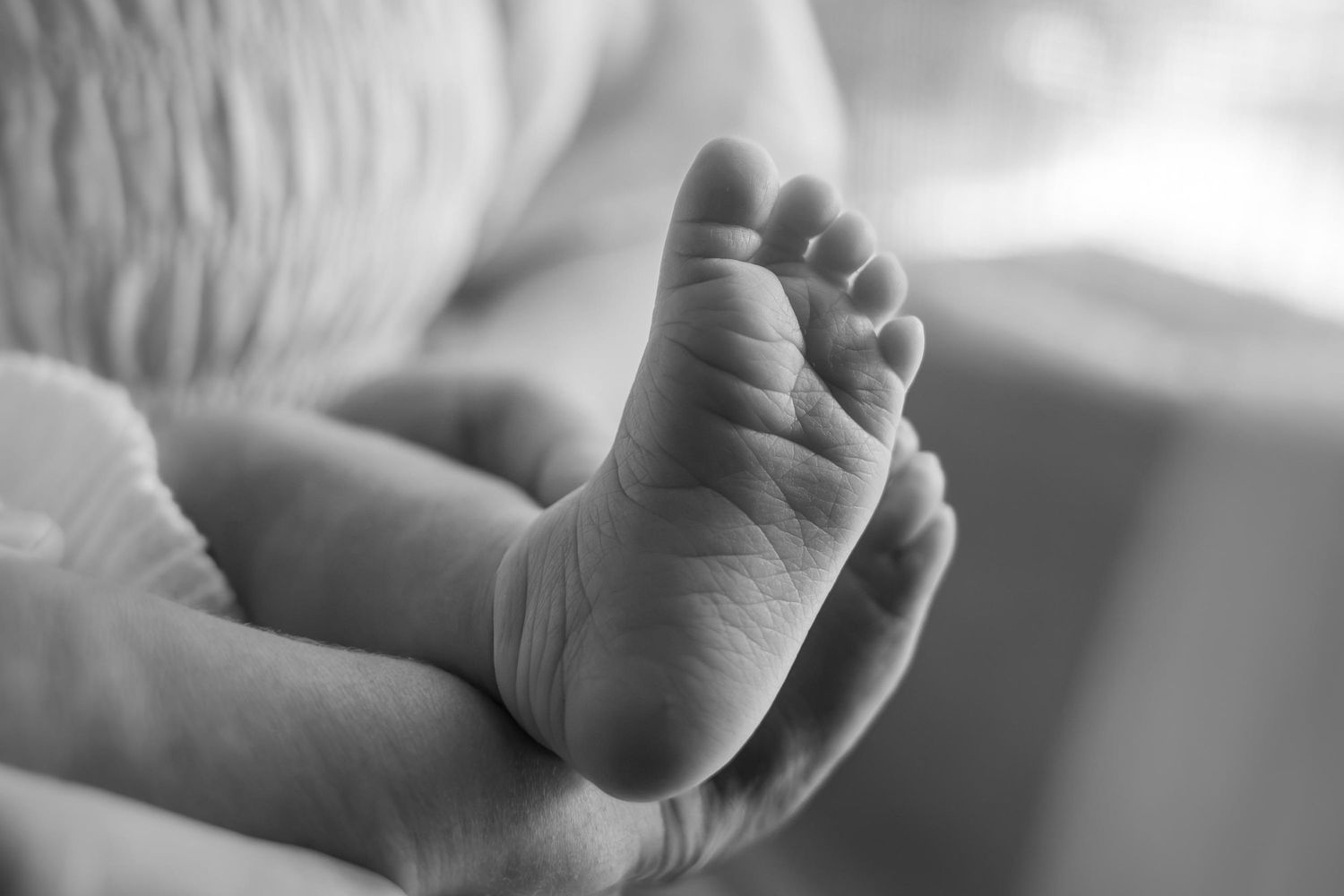 Black and white close-up photo of a newborn baby's tiny feet cradled gently in an adult's hands.