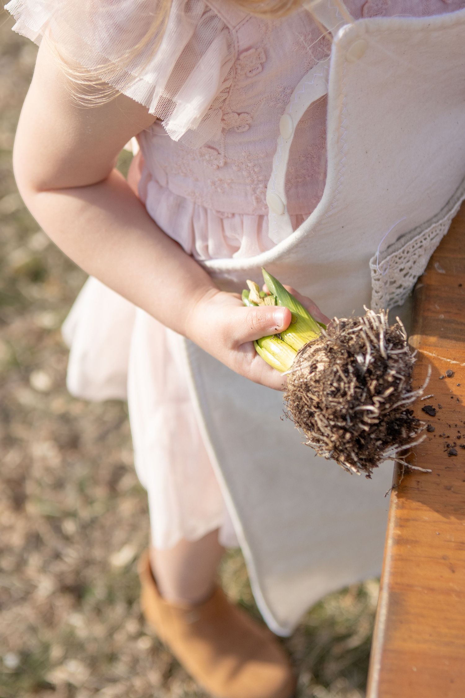 Close-up of small hands holding plant with soil roots during springtime gardening activity.