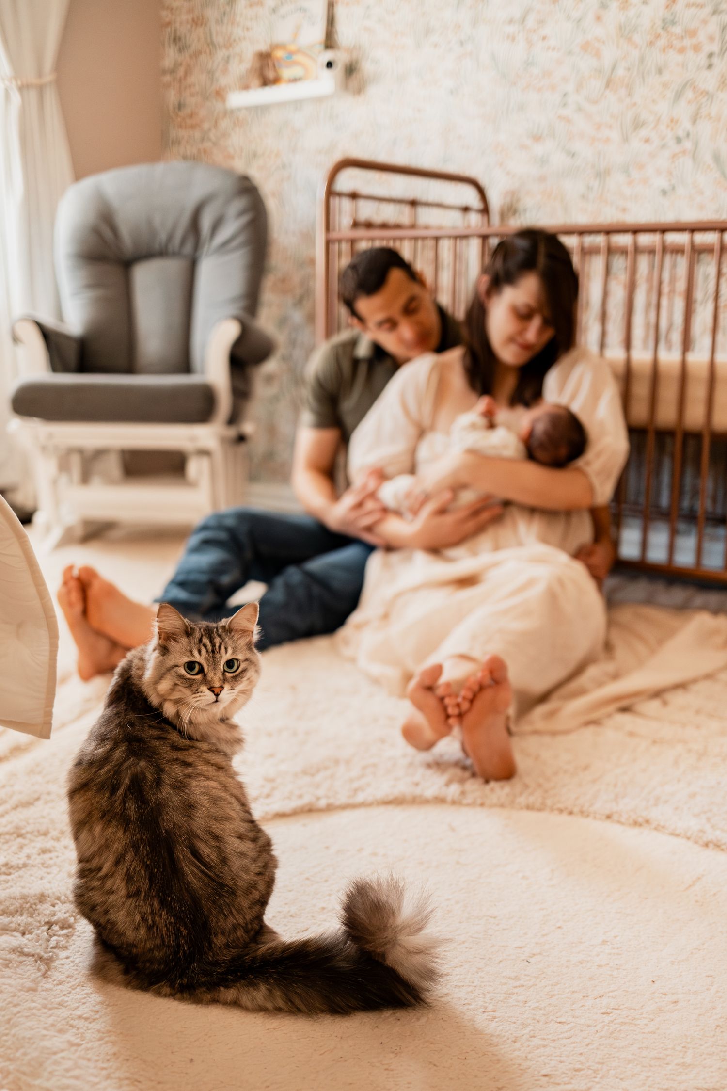 A fluffy tabby cat sits in focus on a carpet while a family relaxes with their newborn baby in the nursery background.