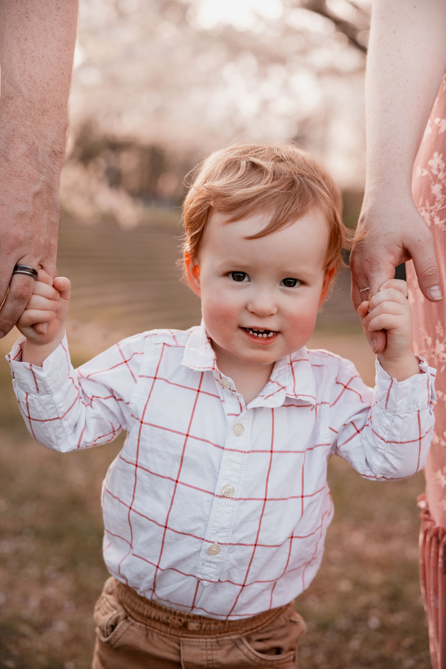 Adorable toddler in plaid shirt holds parents hands while standing outdoors in soft natural light.