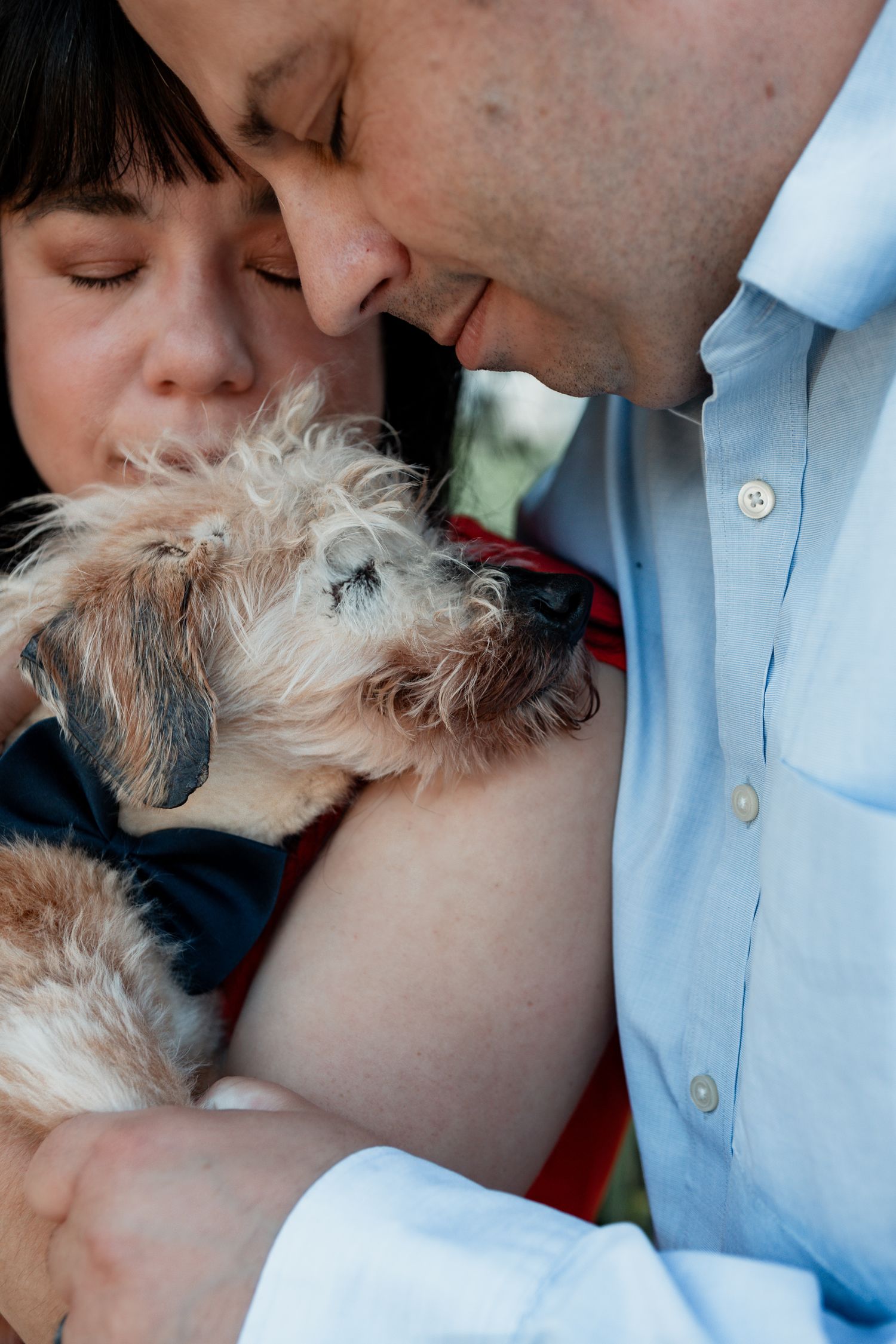 Small fluffy dog sharing tender moments with someone wearing a light blue shirt.