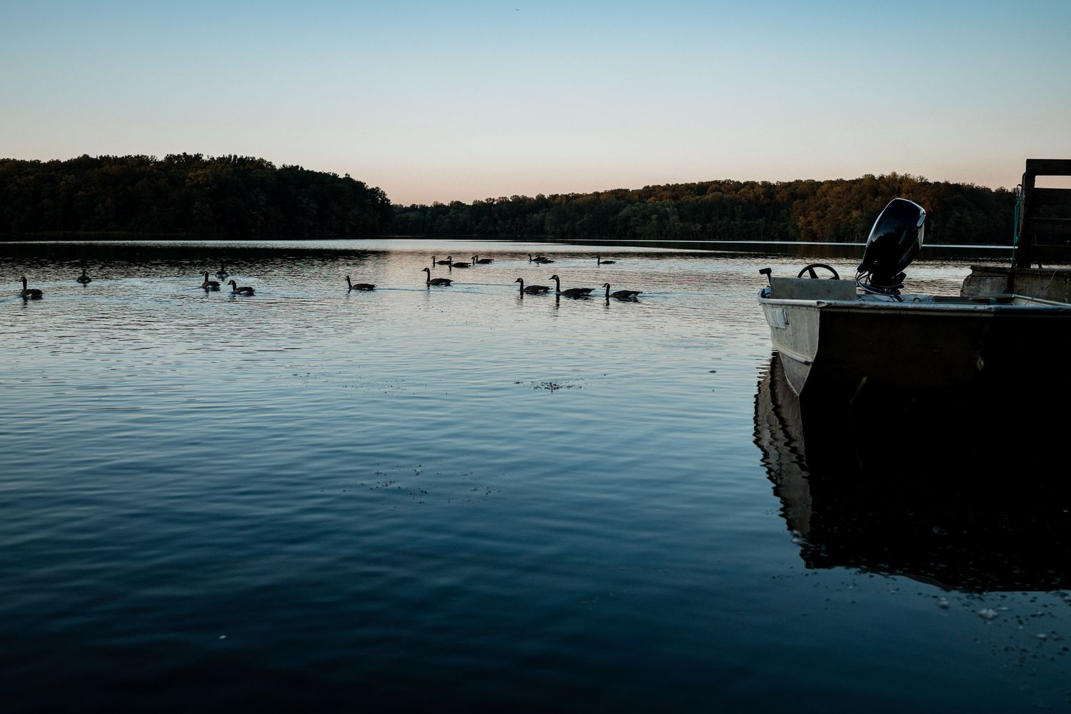 A panoramic view of boats and swans floating on a tranquil lake during sunset with docks visible in the distance.