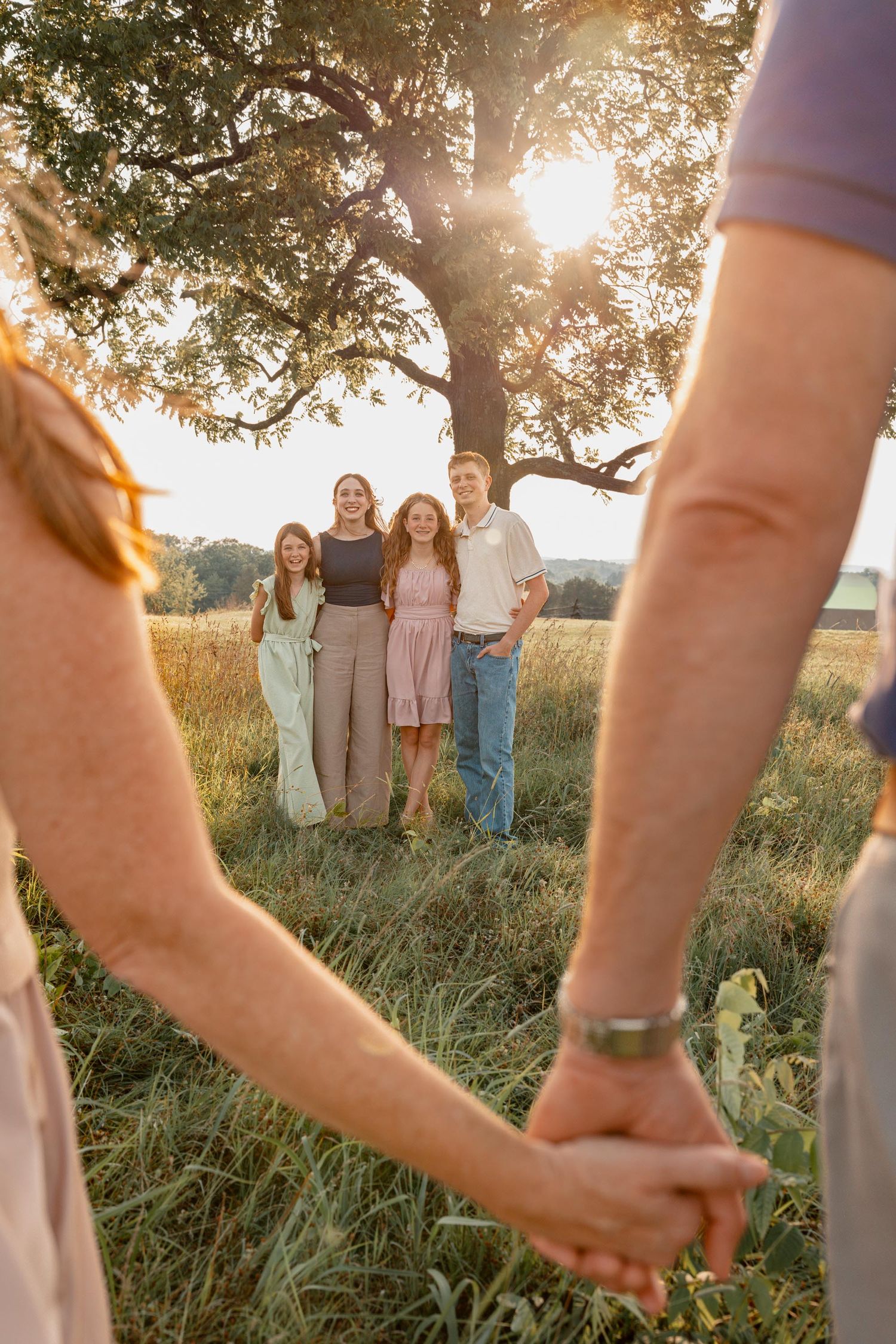 Family holding hands in golden hour sunlight with children standing near a large tree in a grassy field.