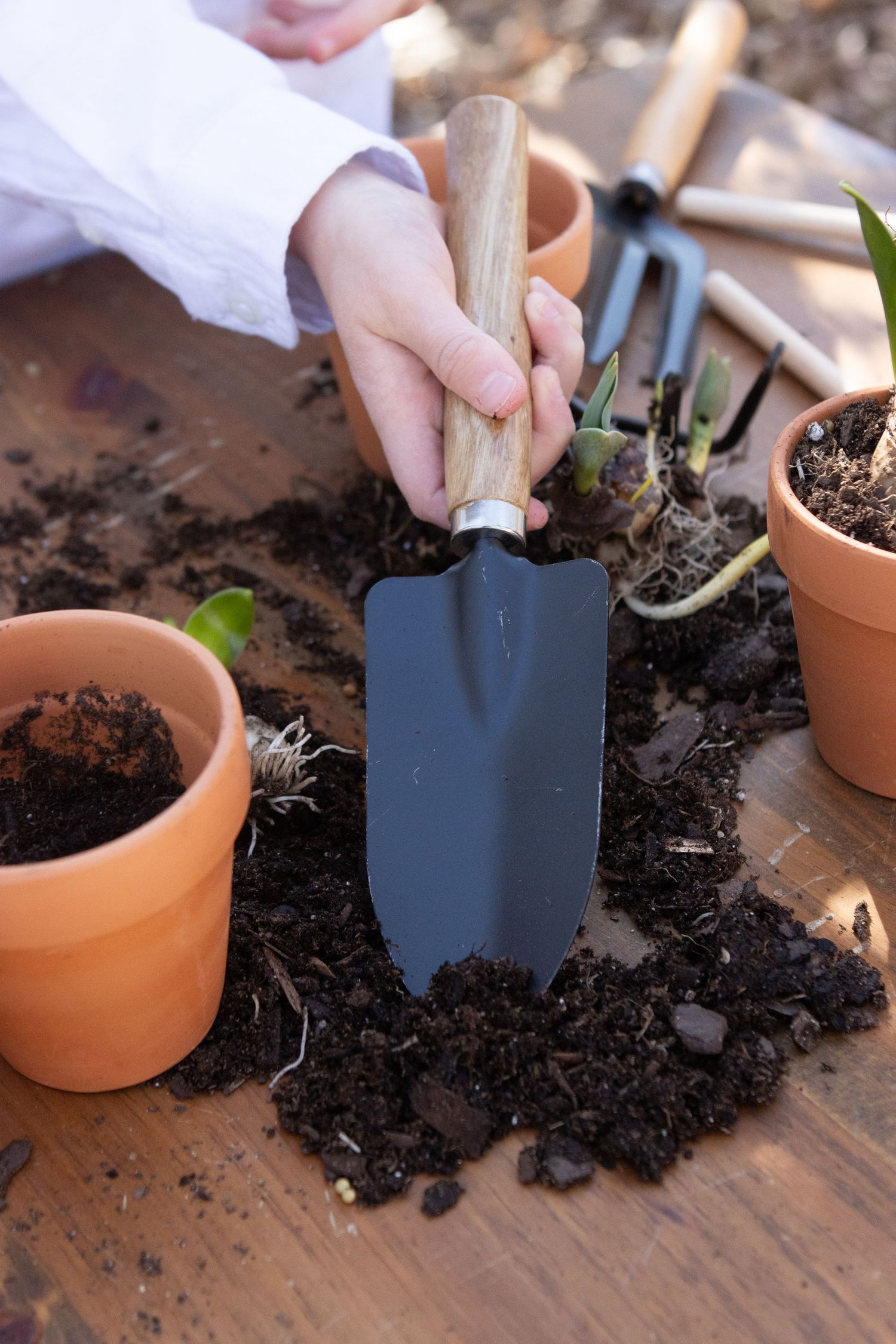 Close-up of small hands using garden trowel to work with potting soil.