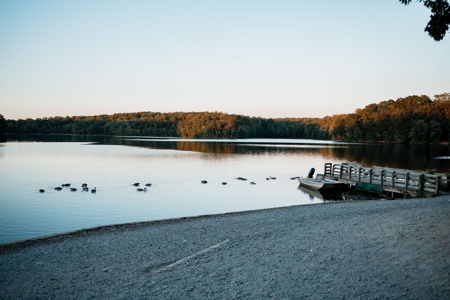 A stunning panoramic collage of tranquil lakeside scenes with wooden docks and migrating birds at sunset.