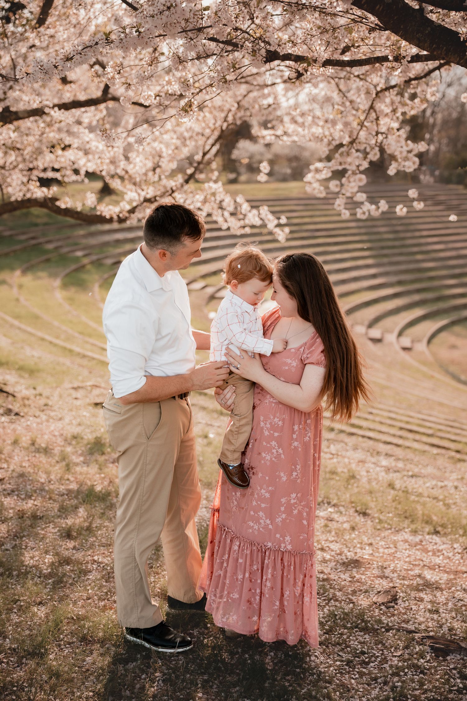 Family portrait under cherry blossom tree, parents holding toddler in spring garden with pink blooms.