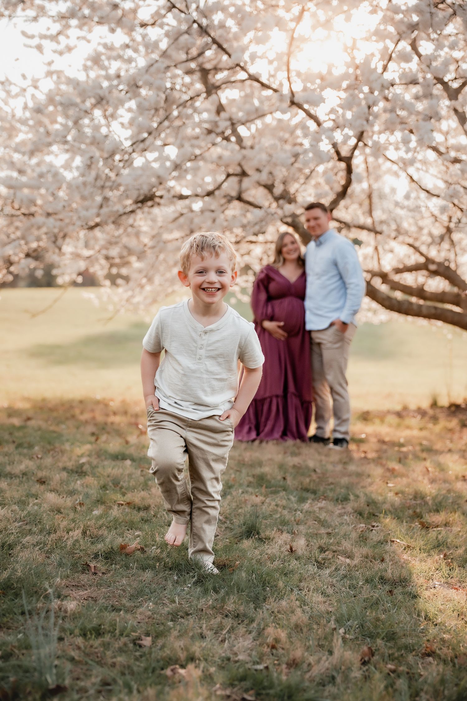 A joyful boy runs toward the camera as his pregnant mother and father stand under blooming cherry trees at golden hour.