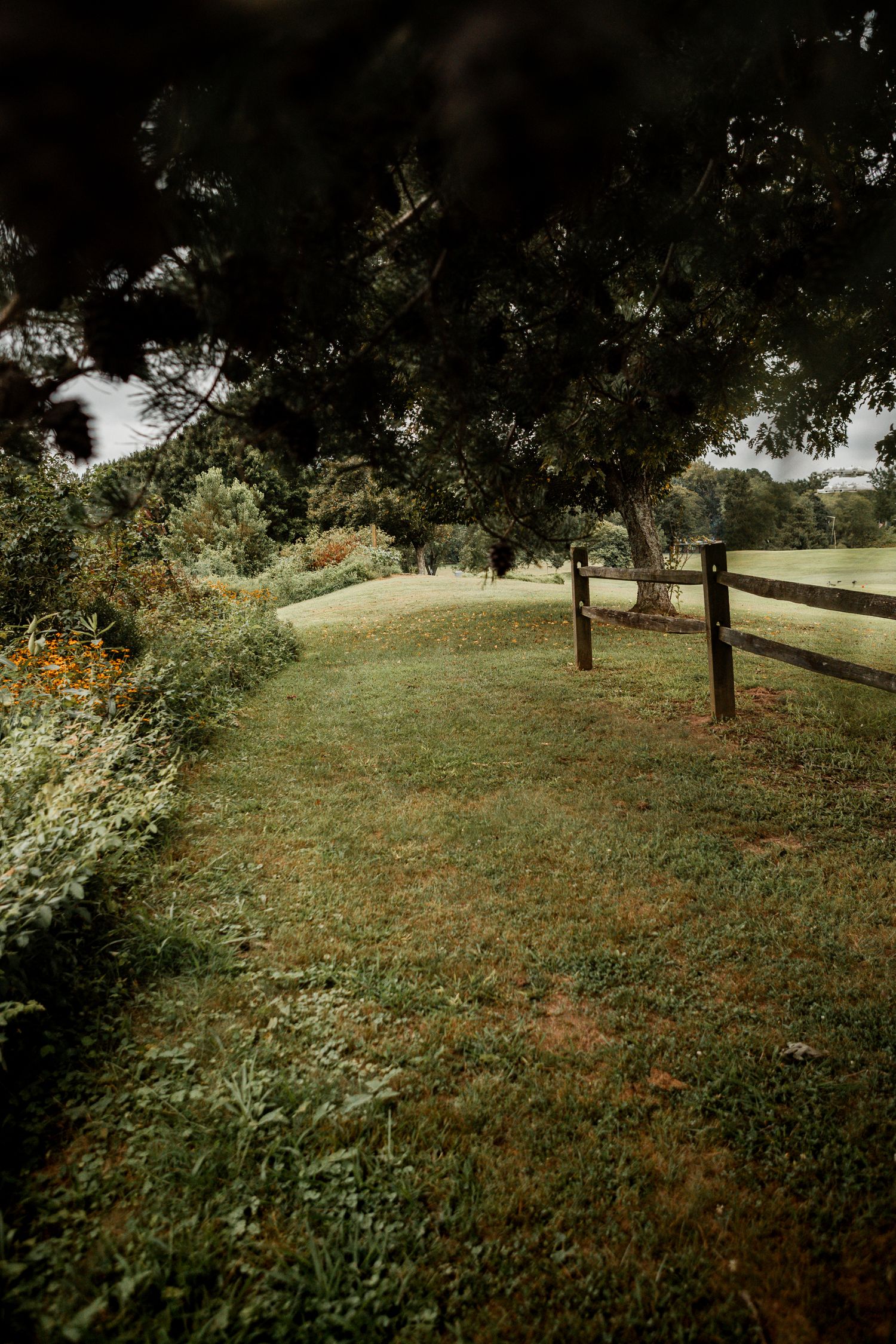 Rustic wooden fence lines a grassy meadow path under trees in a peaceful countryside setting.
