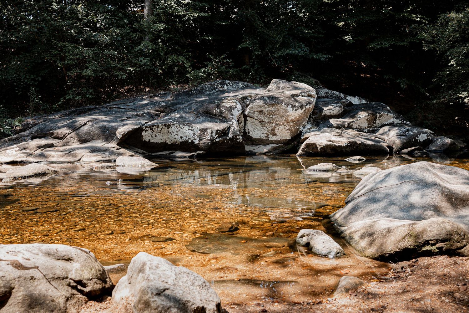 Scenic mountain stream cascades over rugged rocks and boulders through a lush forest landscape during daytime.