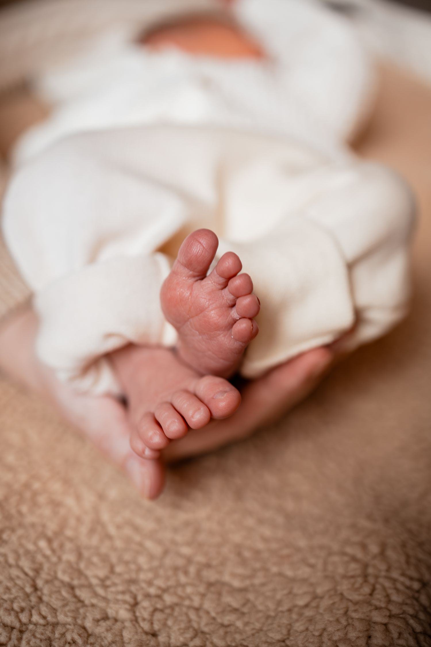 Close-up of tiny baby feet wrapped in white blanket against textured brown surface.