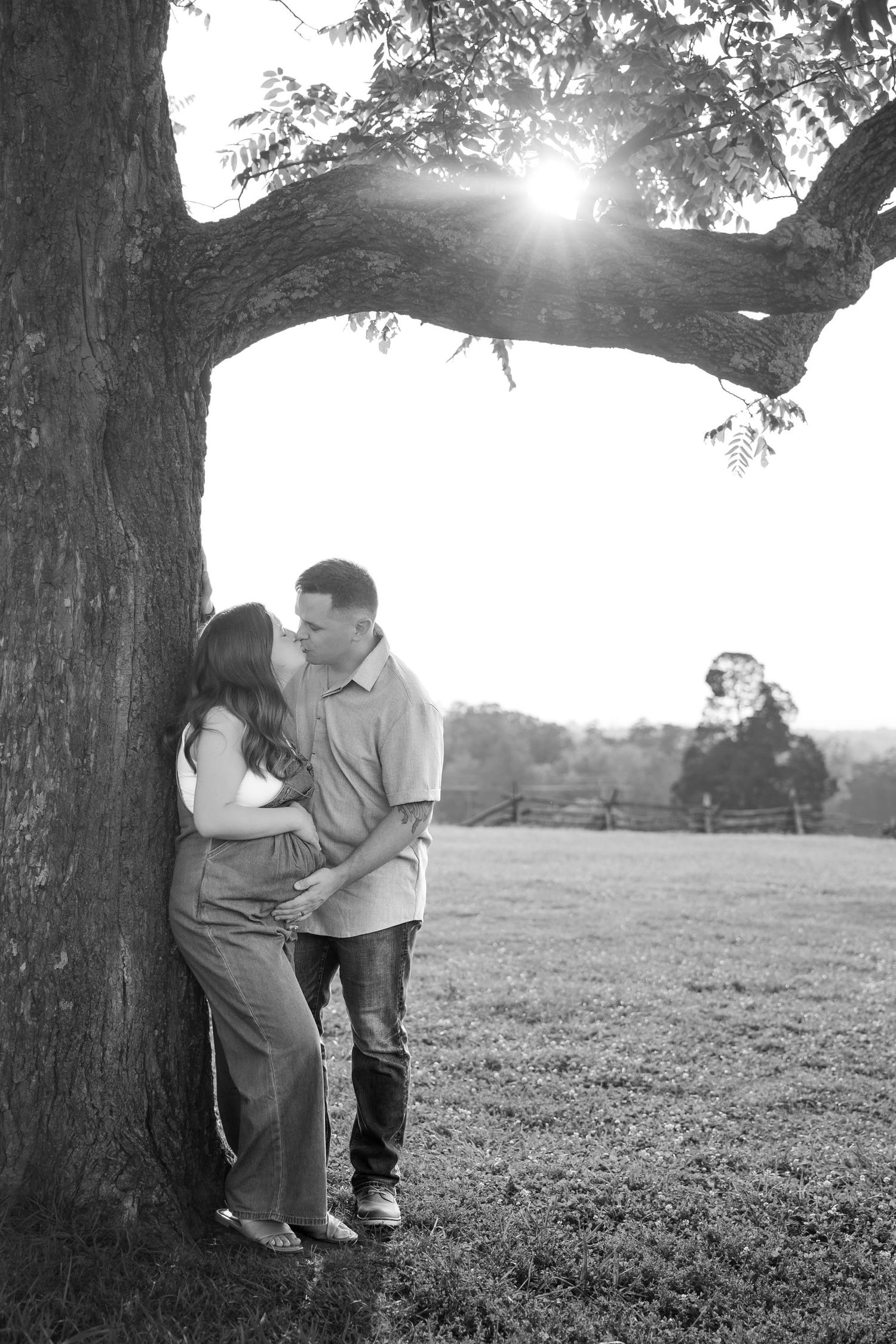 Black and white photo of a couple kissing under a large tree in a sunlit field during a romantic outdoor engagement session.