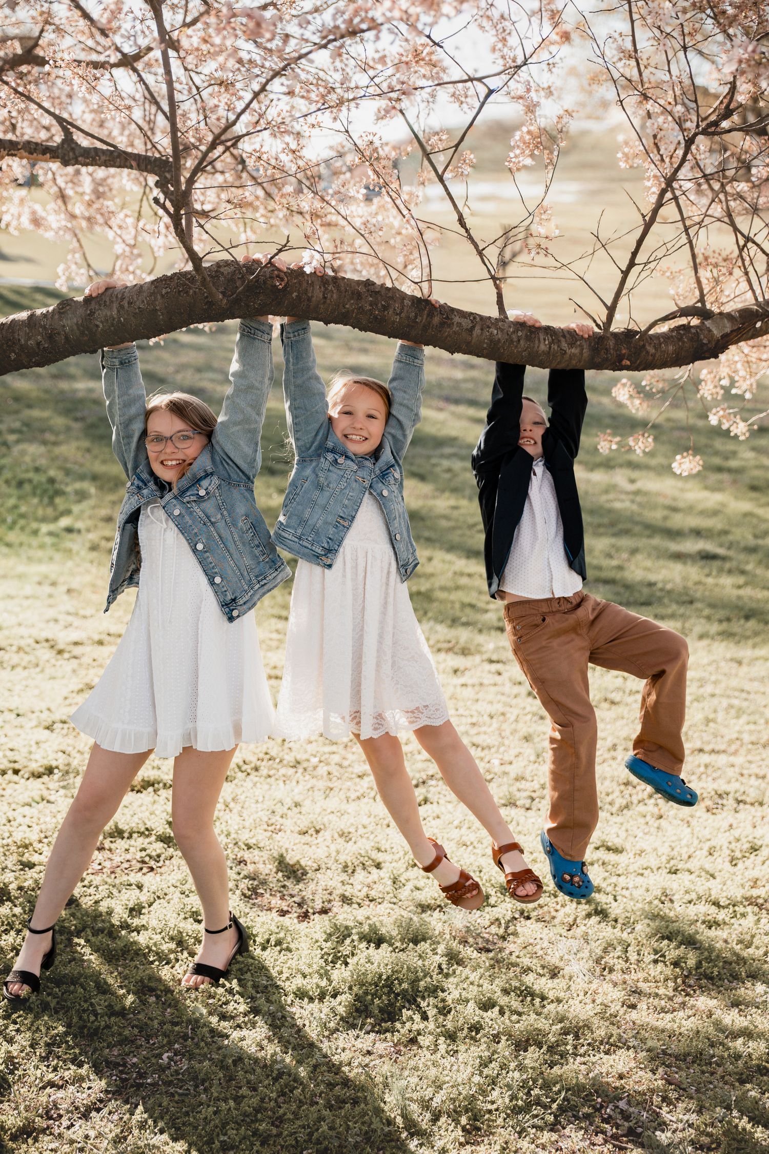 Three children hanging from a cherry blossom tree branch outdoors, wearing white dresses and denim jackets in spring.