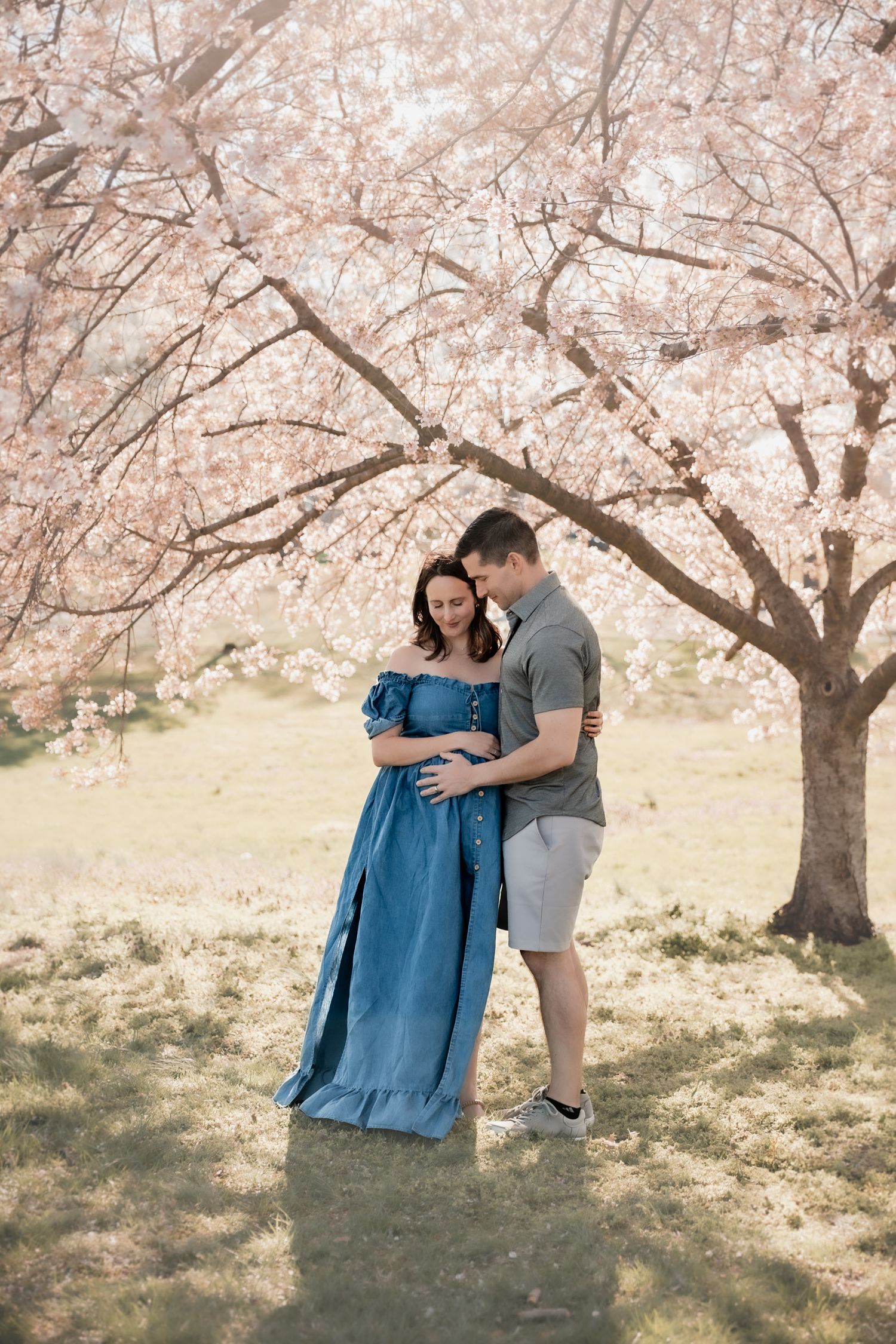 Couple embracing under blooming cherry blossom tree, pregnant woman in blue dress, maternity photo session outdoors.Maternity Cherry Blossom